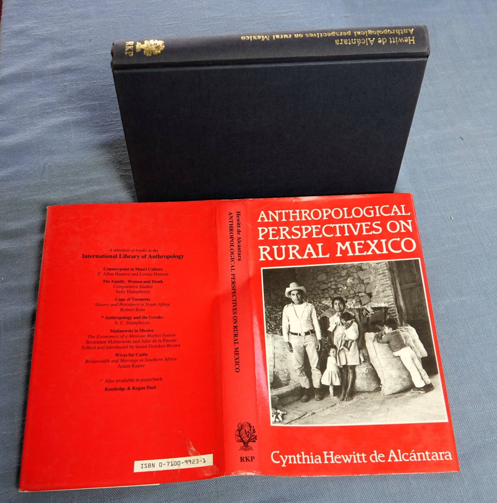 Anthropological Perspectives on Rural Mexico Hardcover Cynthia H.