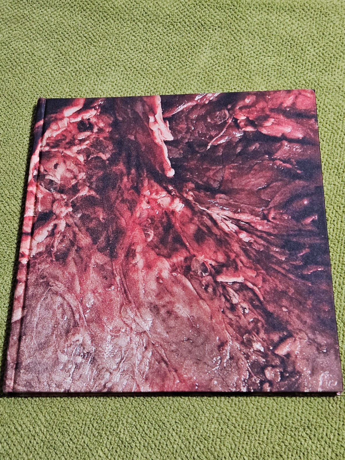 GUTS by Tim Palen RARE Horror/Photography HB Book – Saw Hostel Eli Roth- VF/NM!