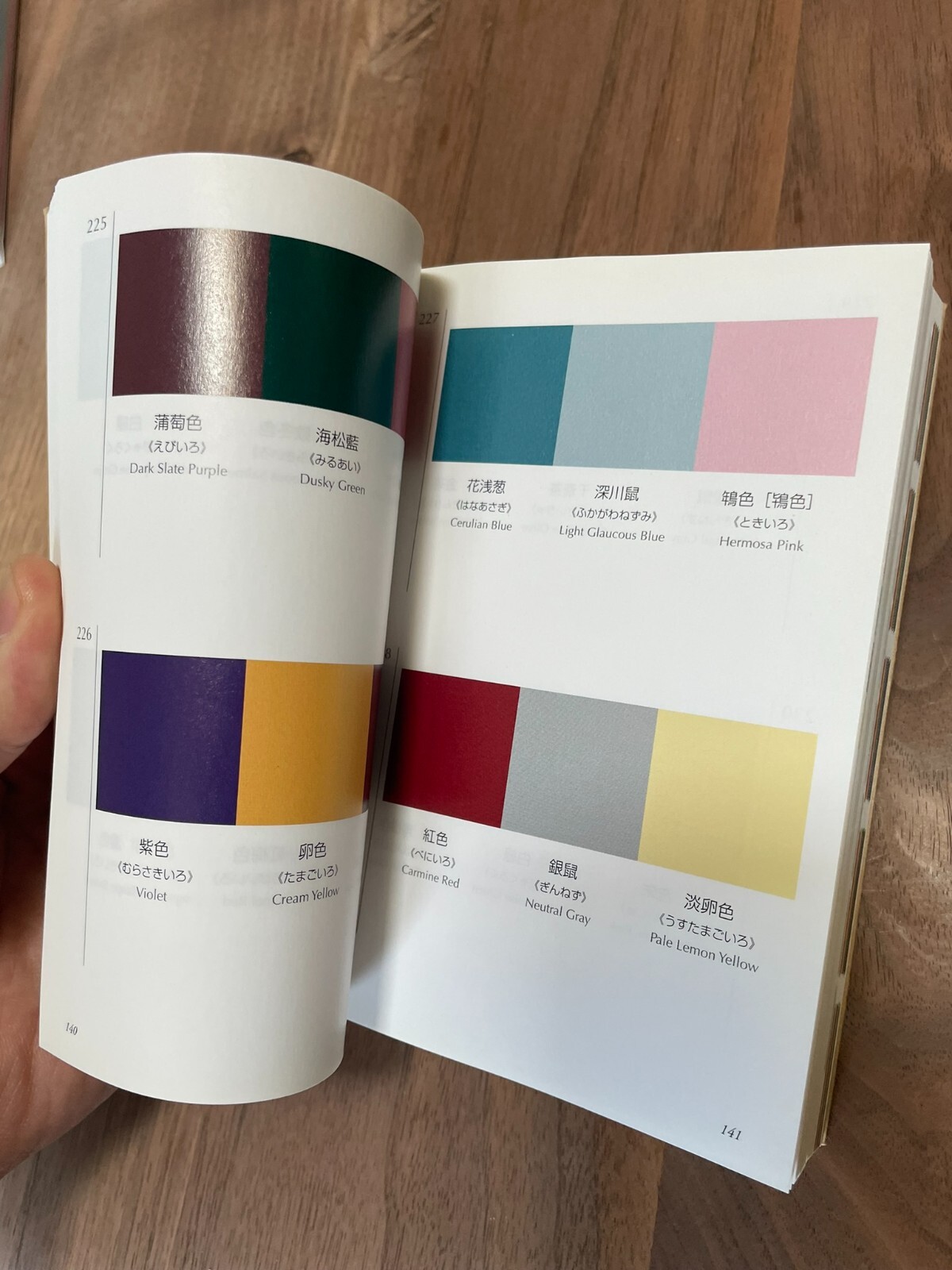 a Dictionary of Color Combinations 1 Note Taisho Showa Art Book Bilingual 2010