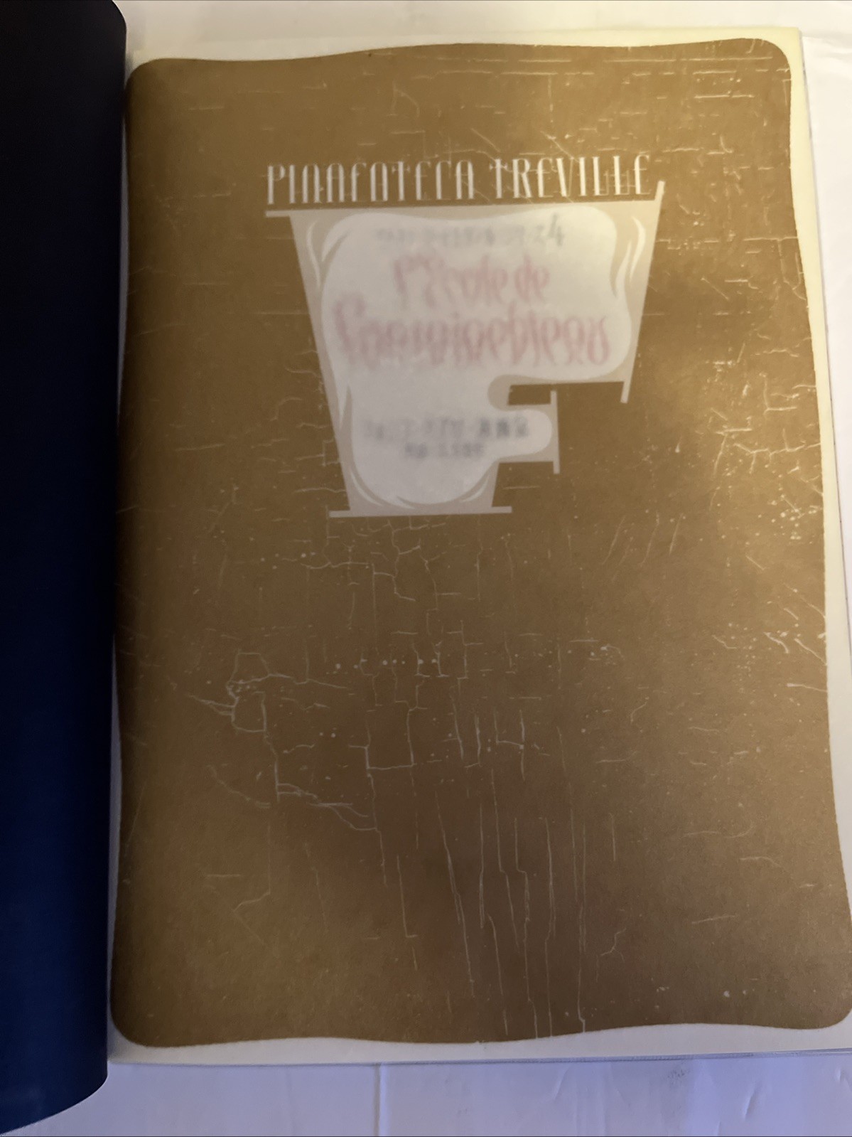 Pinacoteca Treville Series 4 By Erini Fujimara I HC 1995 Japanese Edition