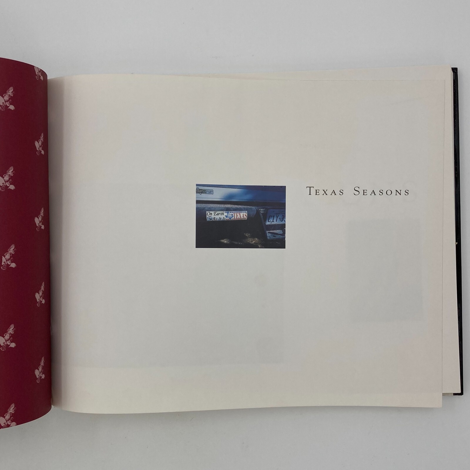 Texas Seasons by Wyman Meinzer and Ray Sasser (1999, Hardback) VGC 175 pages