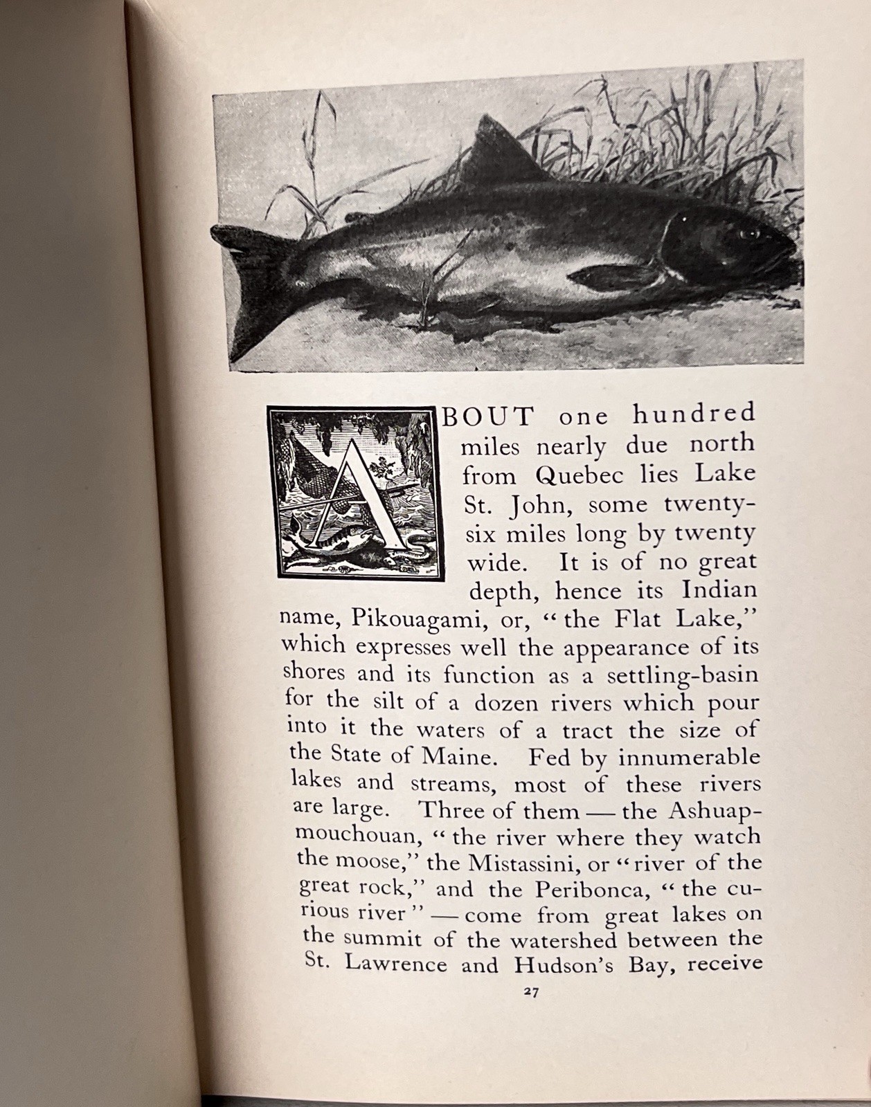 ANGLING 1897 Scribner’s – Fishing Book – 60+ Great Illustrations – 2nd Printing