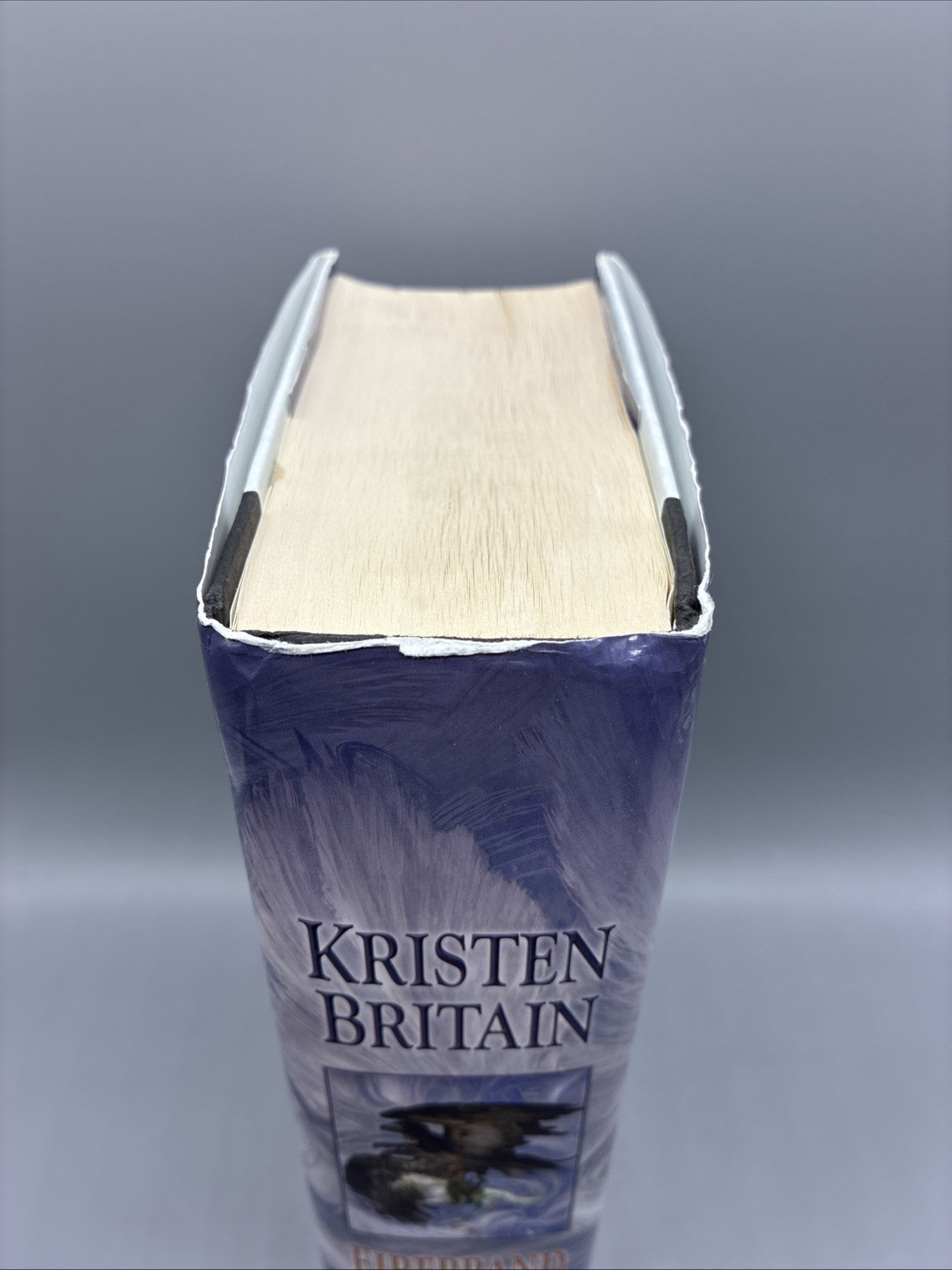 Firebrand By Kristen Britain First Edition First Printing 2017