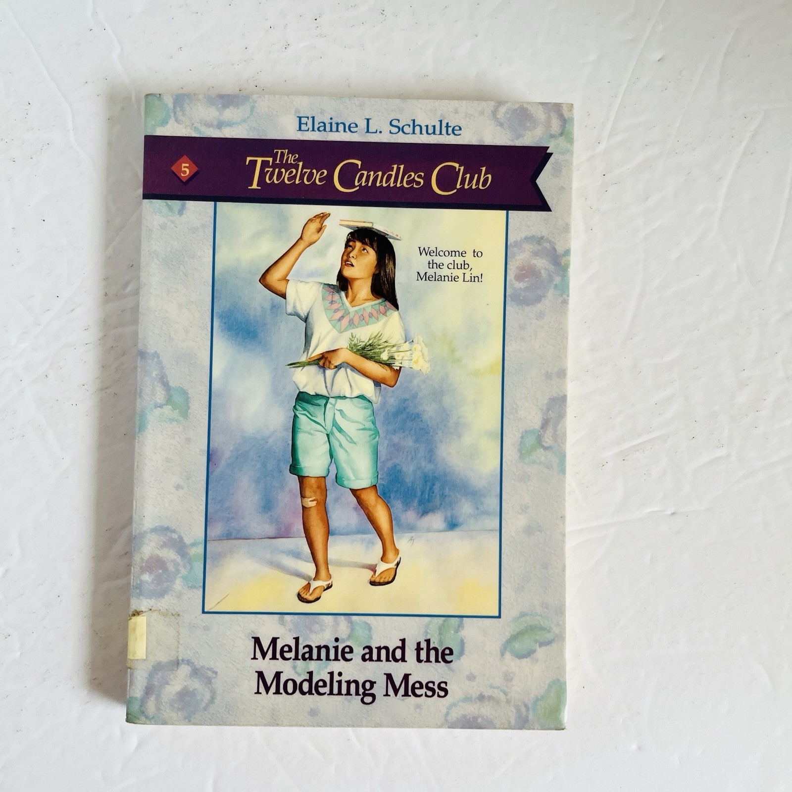 Twelve Candles Club Books 1-5 Set Elaine Schulte 1990s Christian Fiction Lot