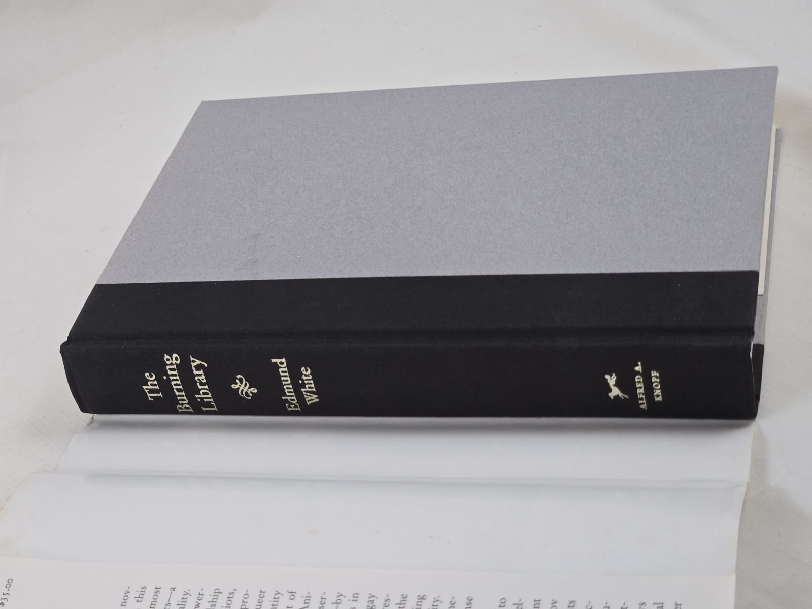 The Burning Library Essays Edmund White 1994 Alfred A Knopf Hardcover w/ Dust