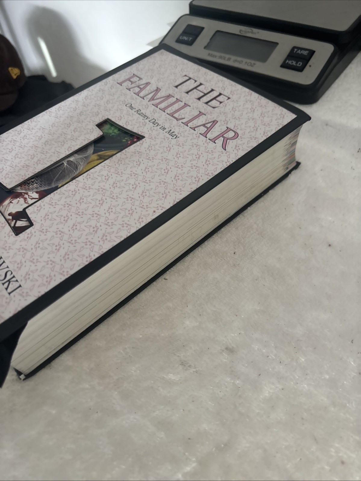 The Familiar, Volume 1: One Rainy Day in May by Mark Z Danielewski