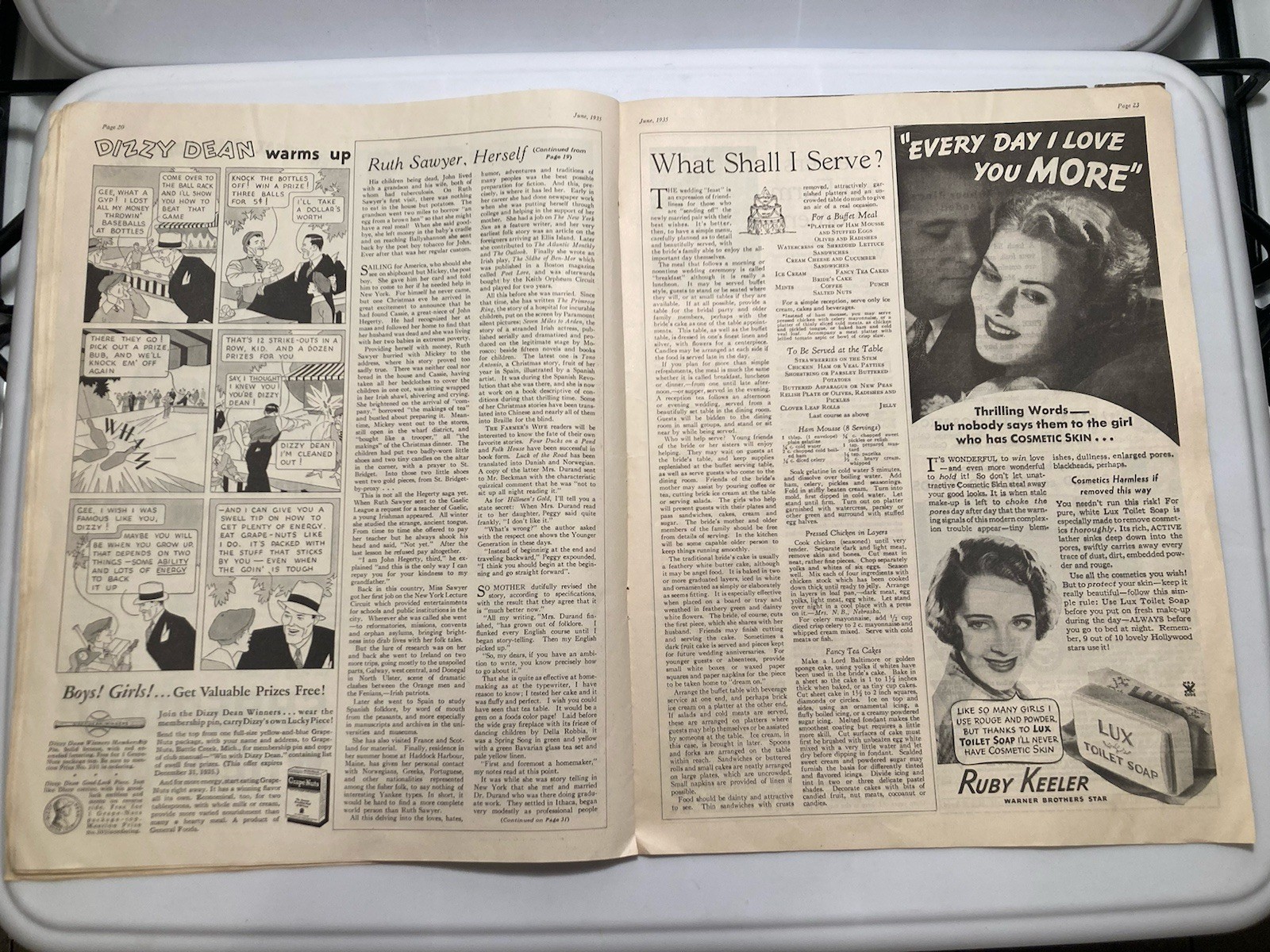 The Farmer’s Wife Magazine June 1935 Jules Erbit Cover Vtg Ads Articles Recipes