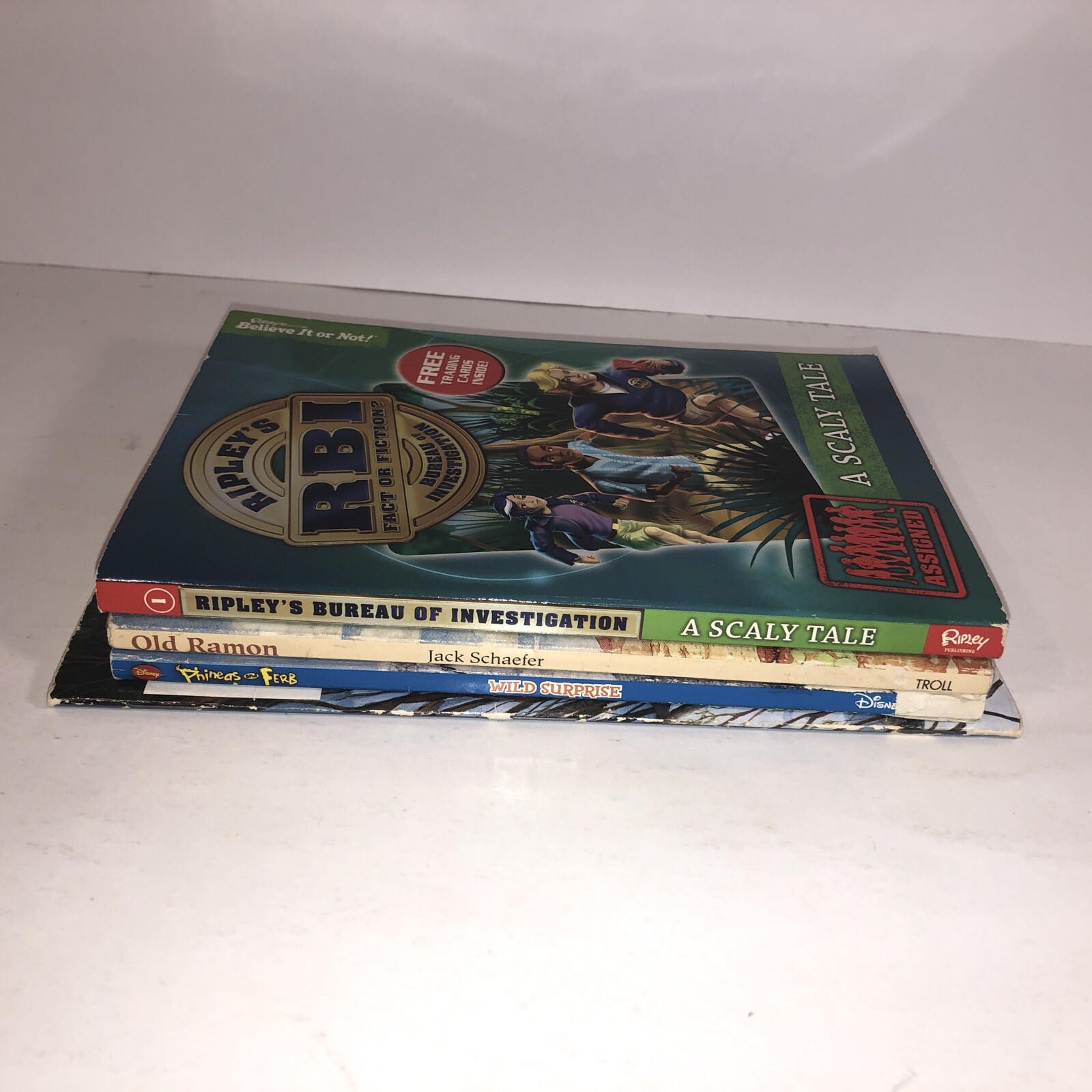 Childrens Chapter Books Lot of 4 Bundle Ages 6-10 Kids Reading Homeschool