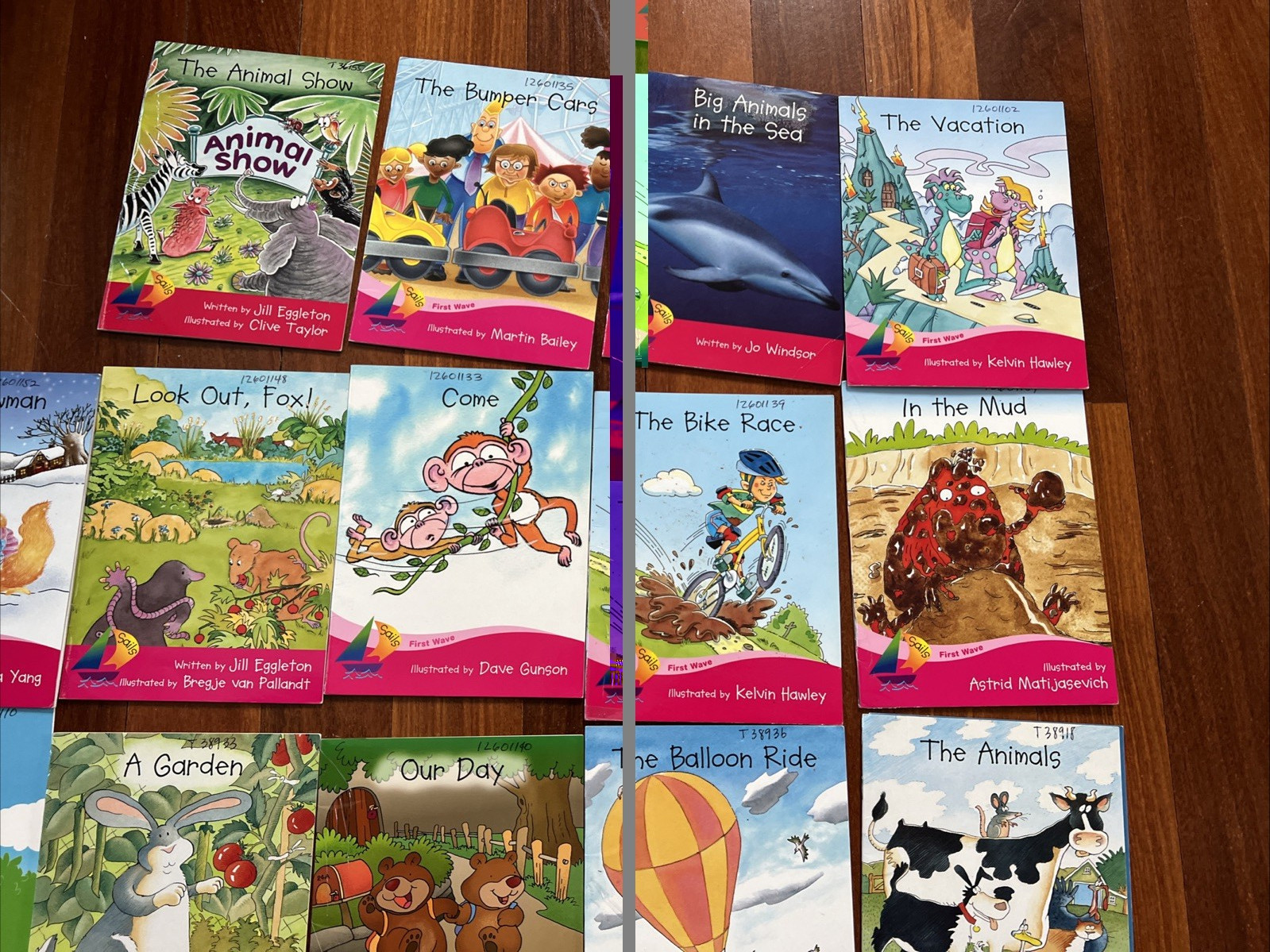 Lot of 22 Rigby Sails PM Books Leveled Readers Homeschool Beginner Reader Sight