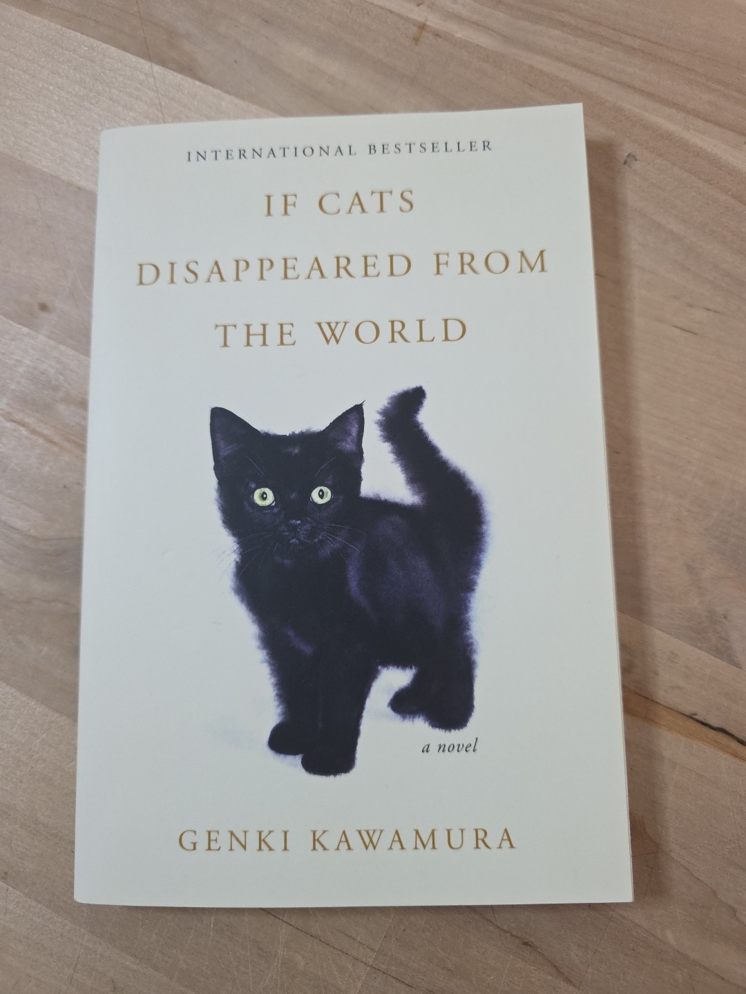 If Cats Disappeared from the World : A Novel by Genki Kawamura (2025, Trade…