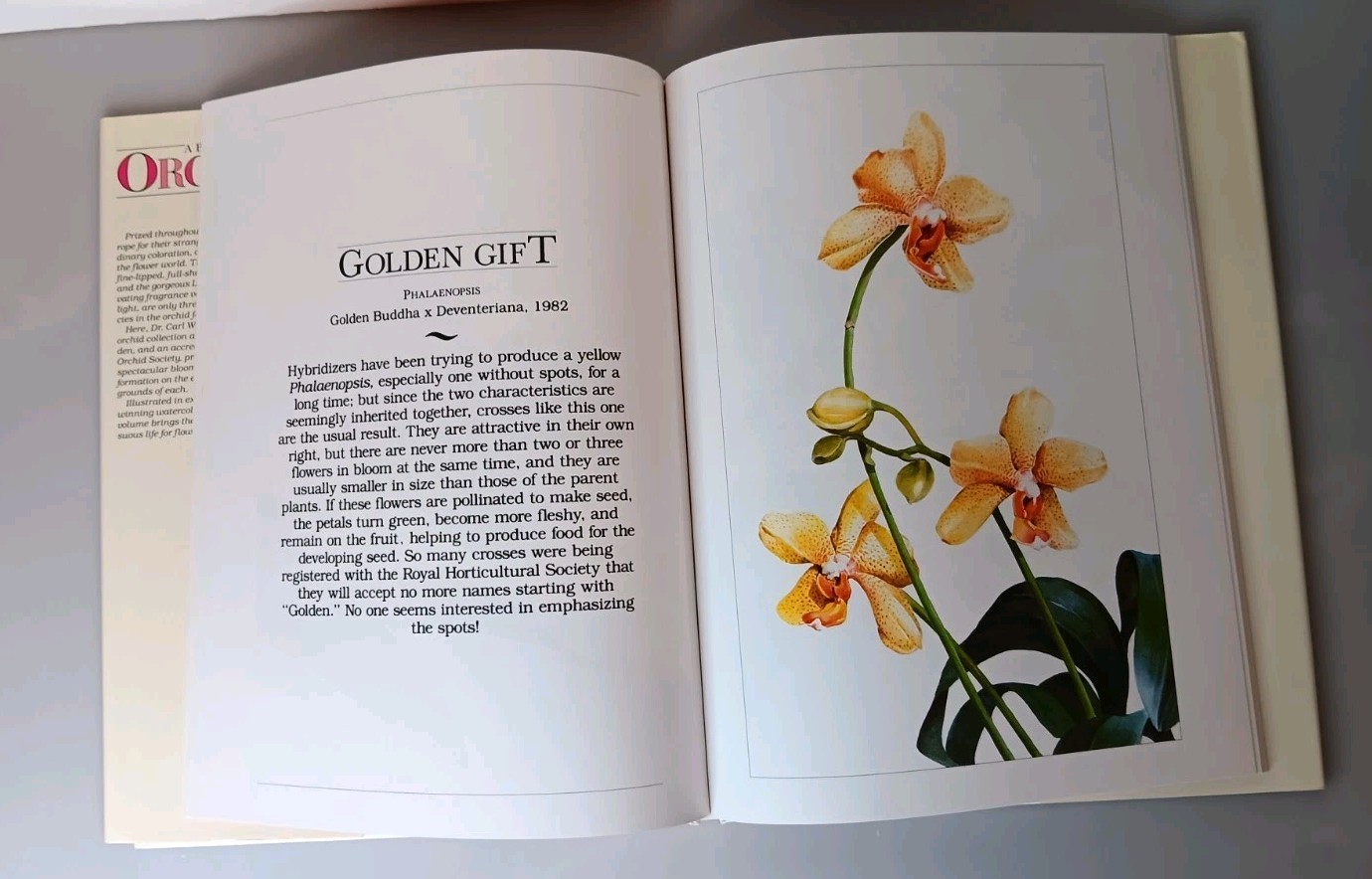 A Treasury Of Flowers Boxed Set Gallery Books – Lilies, Orchids, Wildflowers