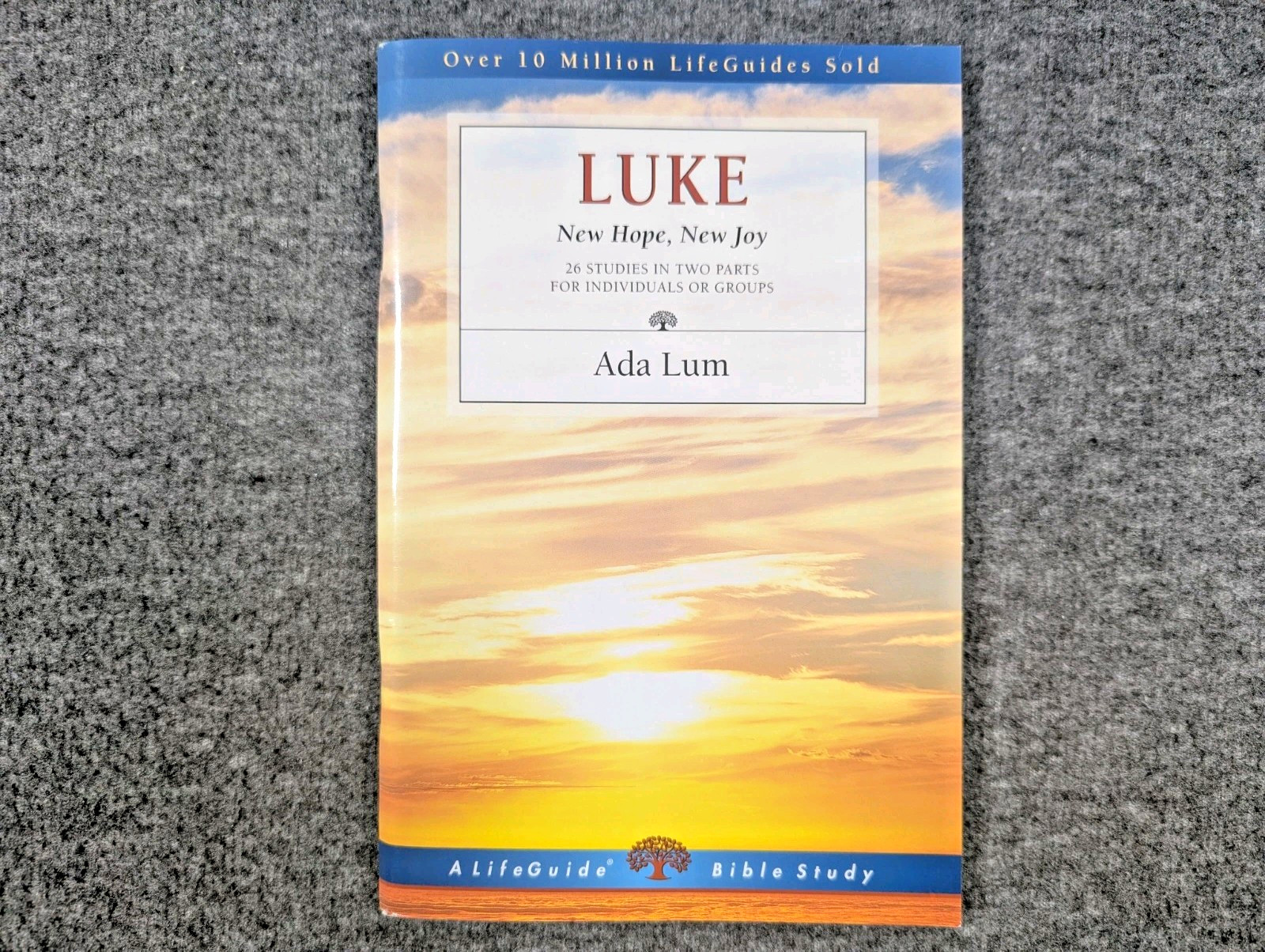 A LifeGuide Bible Study Lot of 12 Study Guides, Christian Living, Sermons
