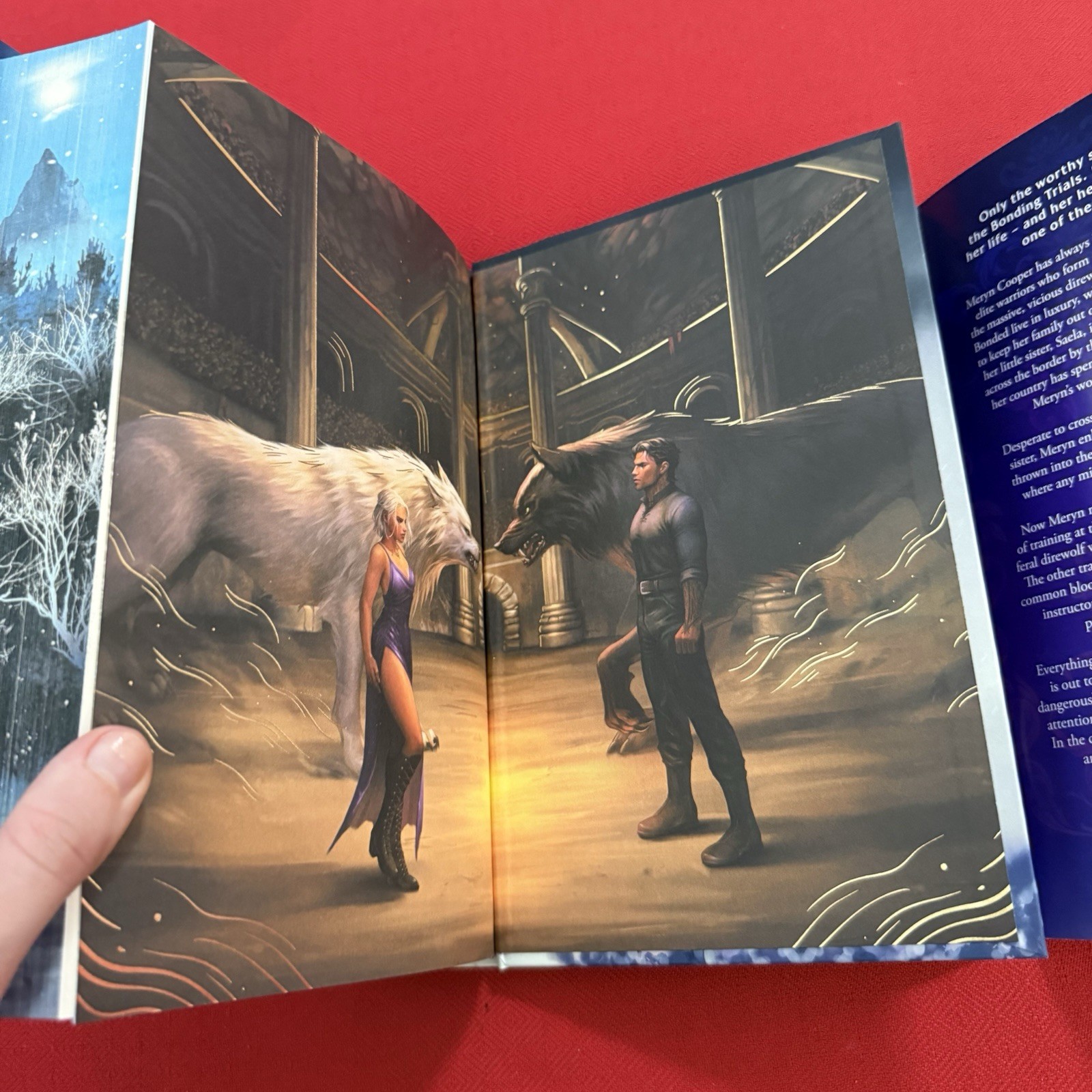 Dire Bound by Sable Sorensen FairyLoot Exclusive Edition – Hardcover Unsigned