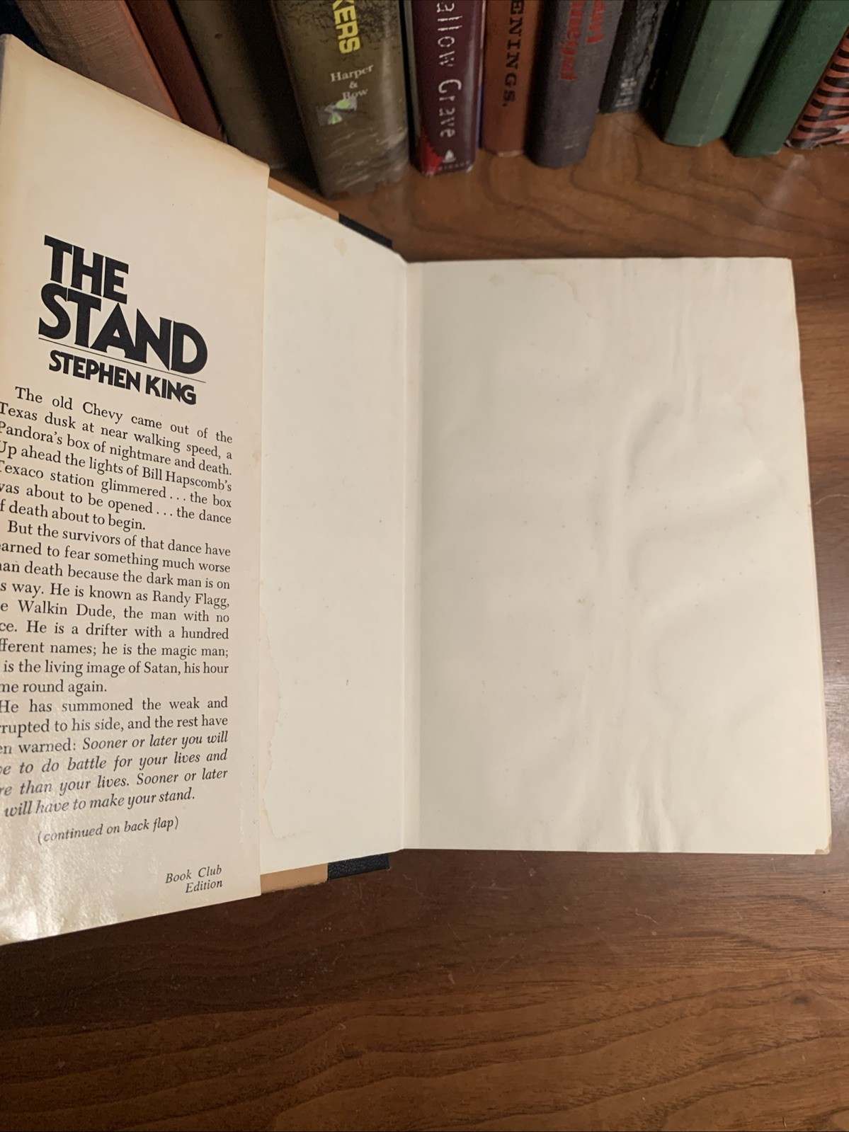 VTG 1978 Stephen King The Stand Hardcover Dust Jacket Book Club Ed Doubleday T45