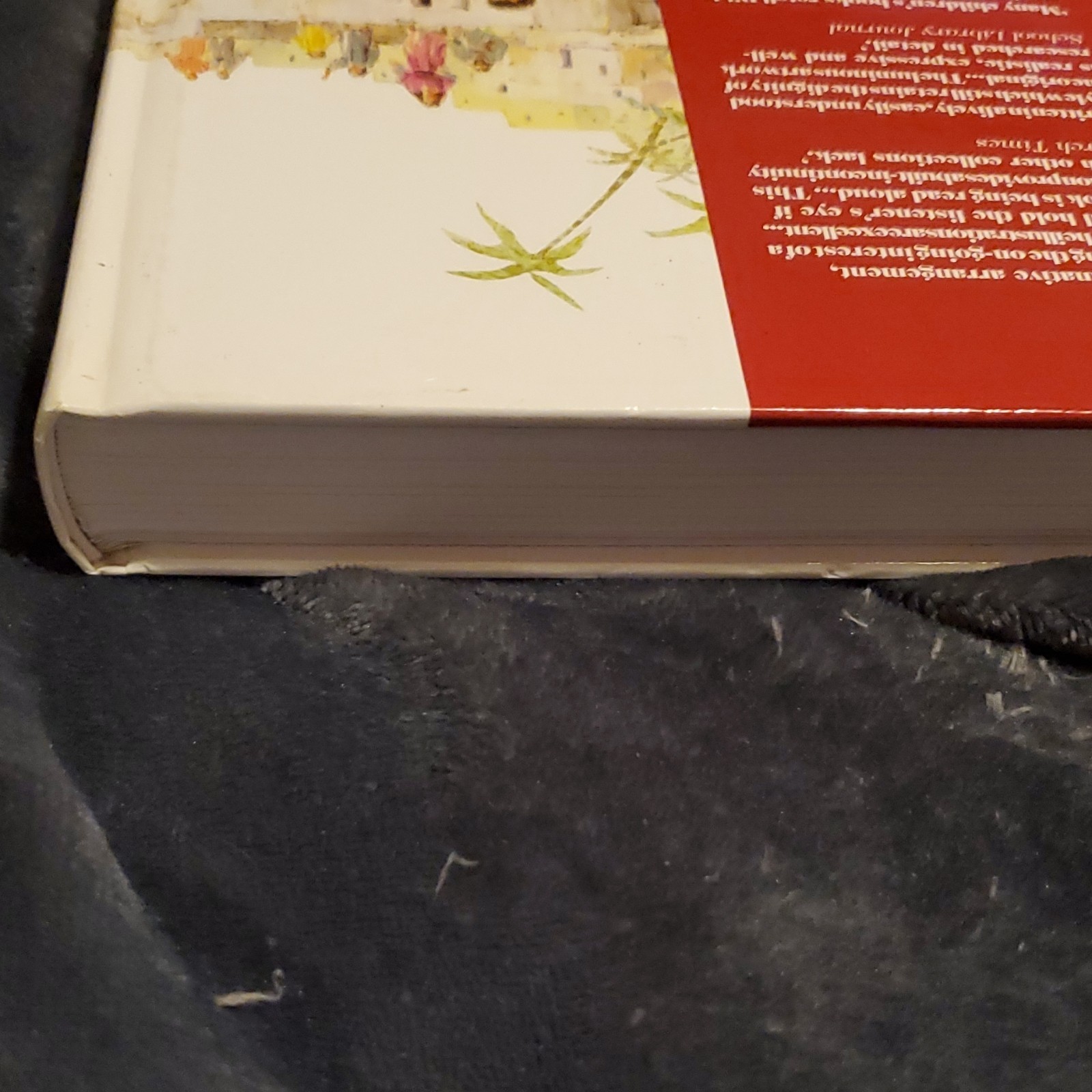 David C Cook The Children’s Bible in 365 Stories Illustrated Hardcover Religion