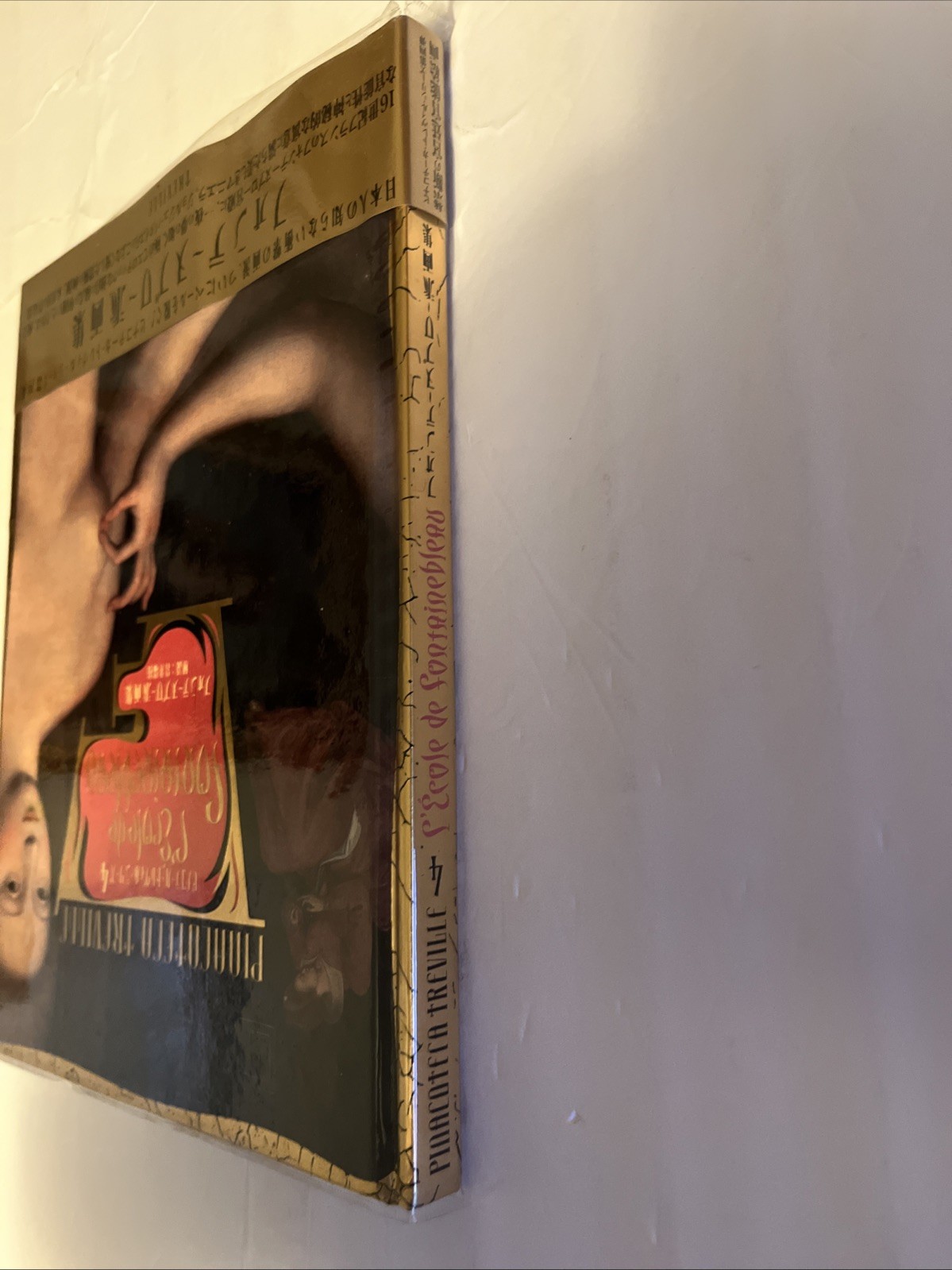 Pinacoteca Treville Series 4 By Erini Fujimara I HC 1995 Japanese Edition