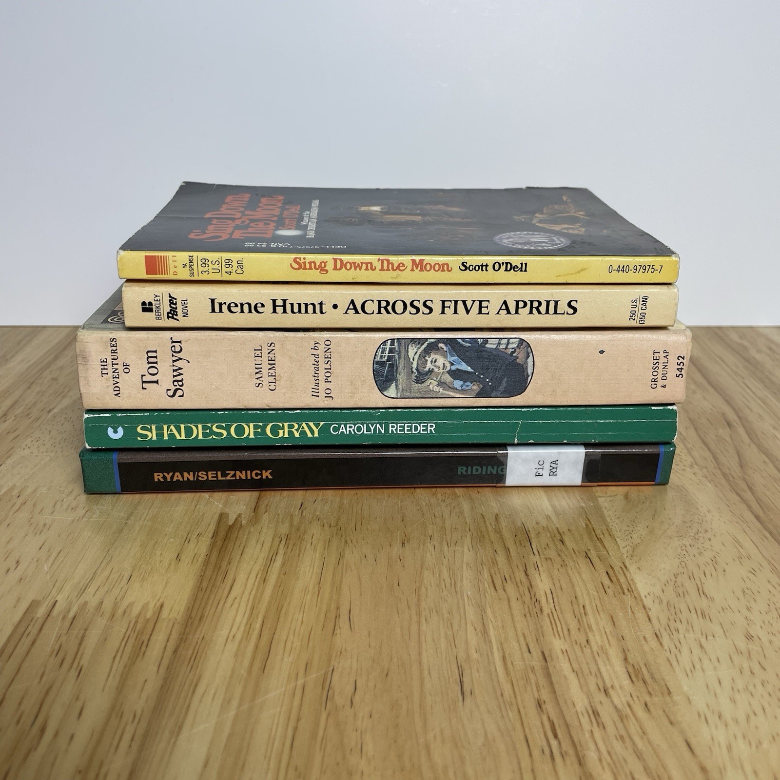 Lot of 5 Historical Chapter Books – Classroom Homeschool Library 1800s Civil War