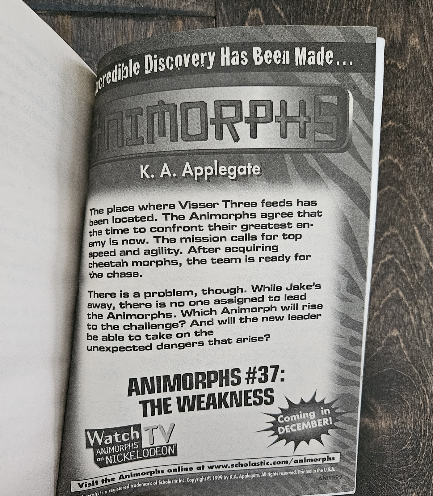 Lot Of 25 Animorphs Books- 1996-2001 See Photos For Titles