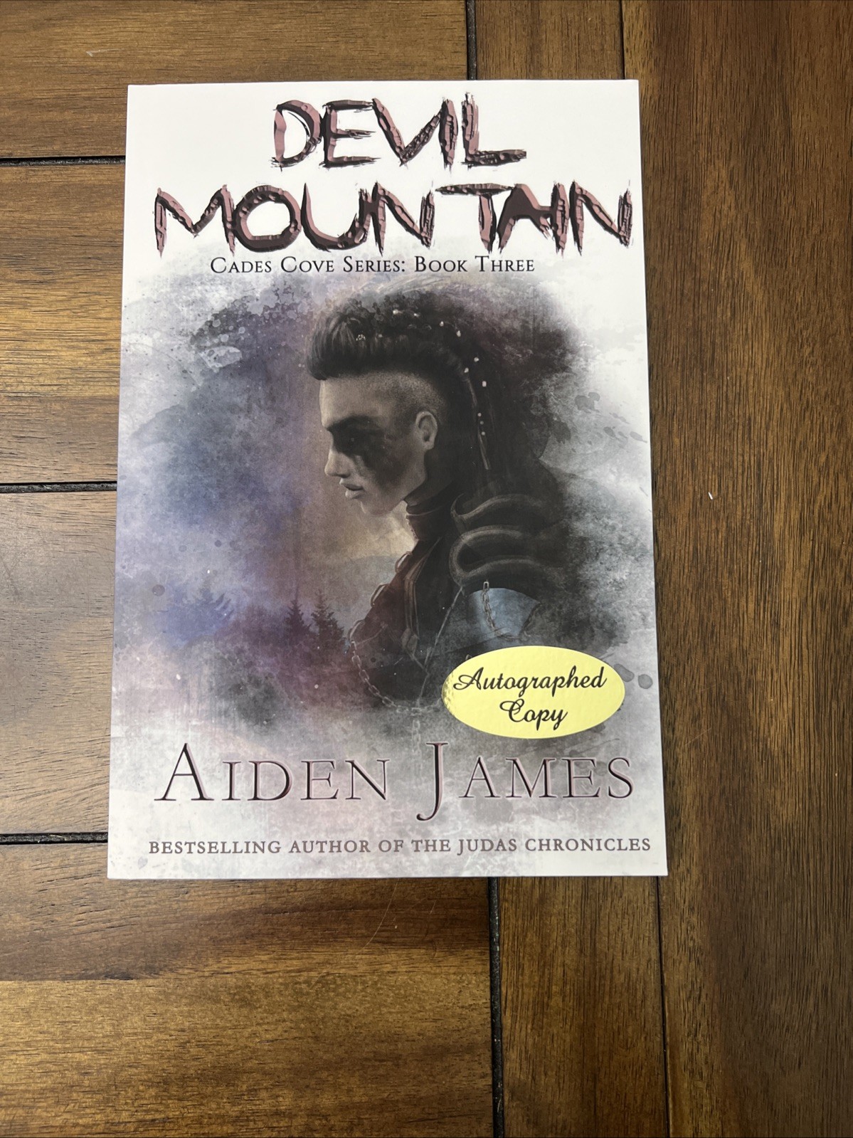 Cades Cove Book Lot Aiden James Books 1-4 Manor House Books Including Autograph