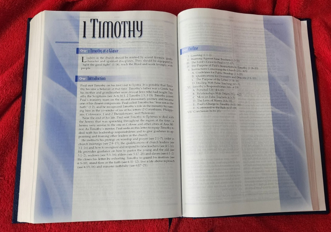 Freedom in Christ Bible New International Version Discovery Zondervan 2001 HB