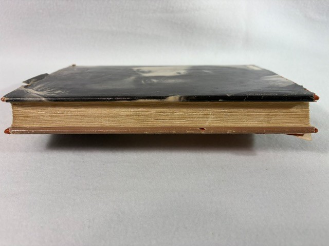 Cujo Stephen King Book Club Edition hardcover with dust jacket 1981 Viking