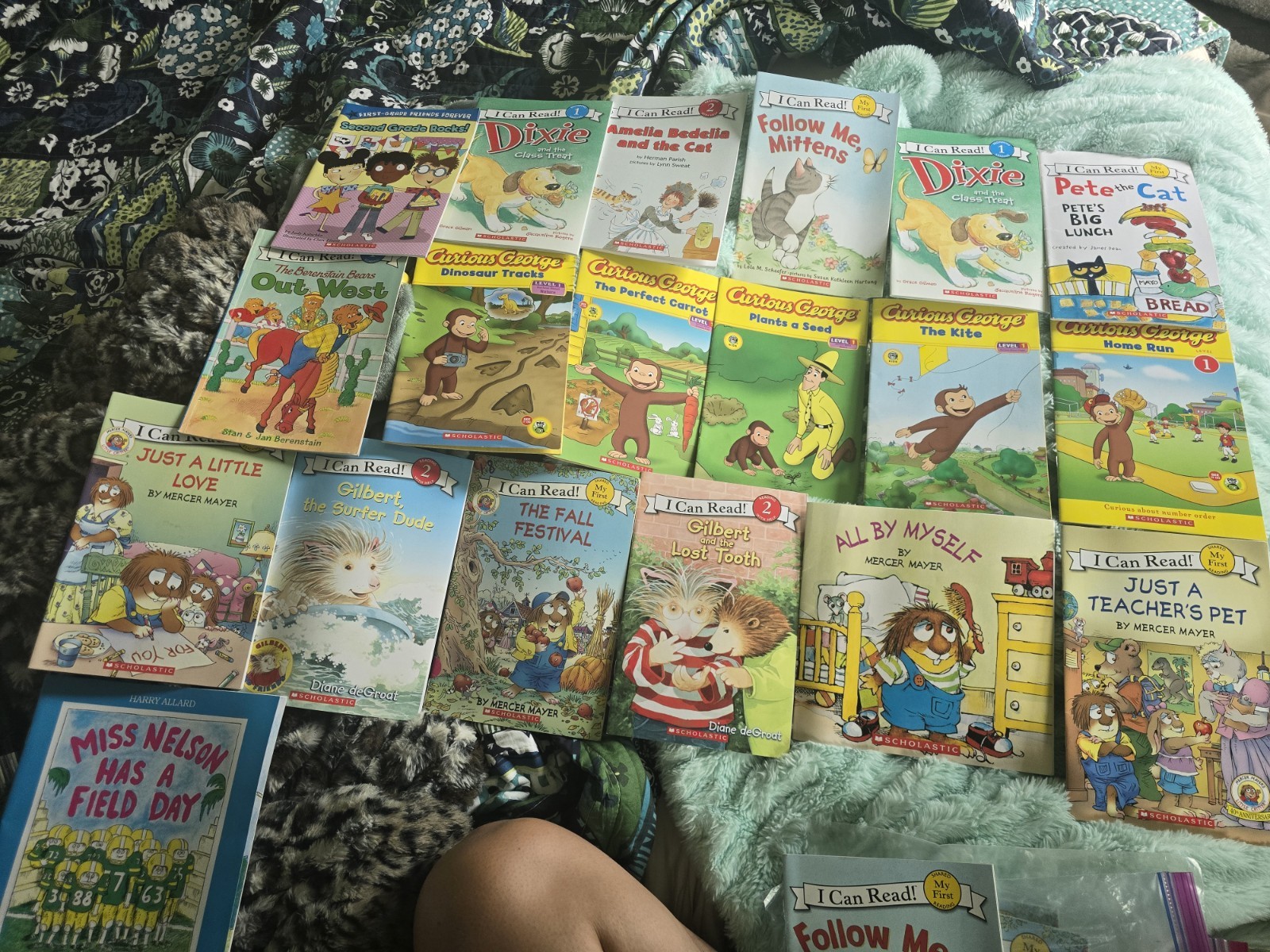 Lot of 20 Level1 and Level 2 books plus other great titles.