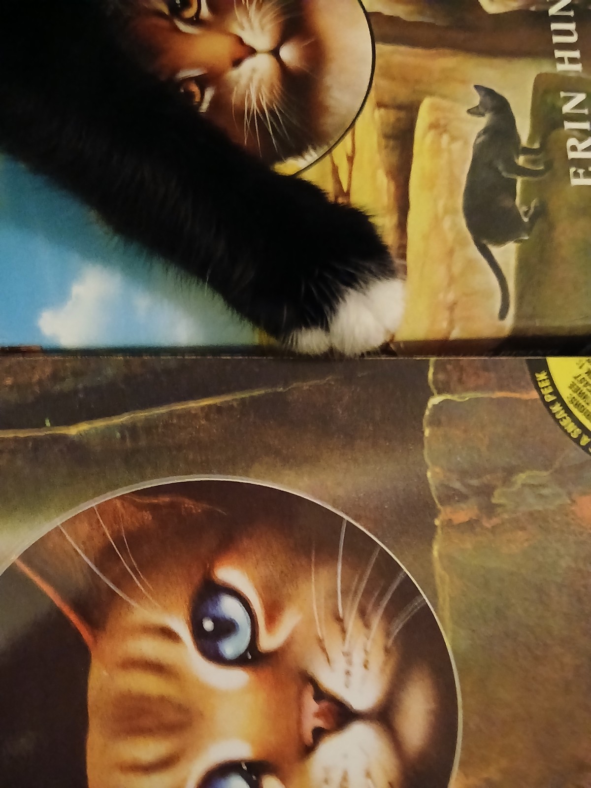 13 peace WARRIOS ERIN HUNTER Books ,