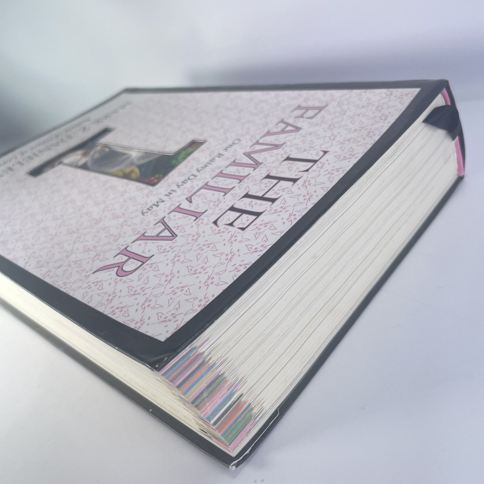 The Familiar Volume 1 One Rainy Day in May Mark Z. Danielewski Thriller Suspense
