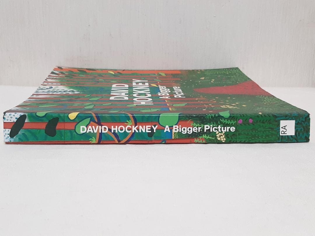 David Hockney A Bigger Picture Art Book English 301 Pages Used