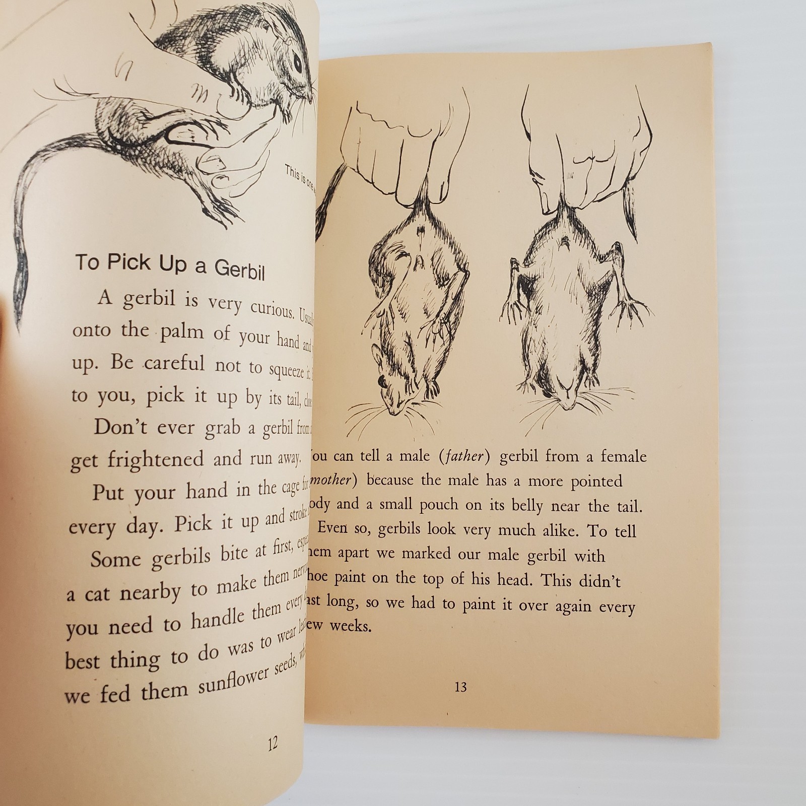 Indoor Pets and How to Keep Them Winifred & Cecil Lubell 1st print 1st Ed 1974