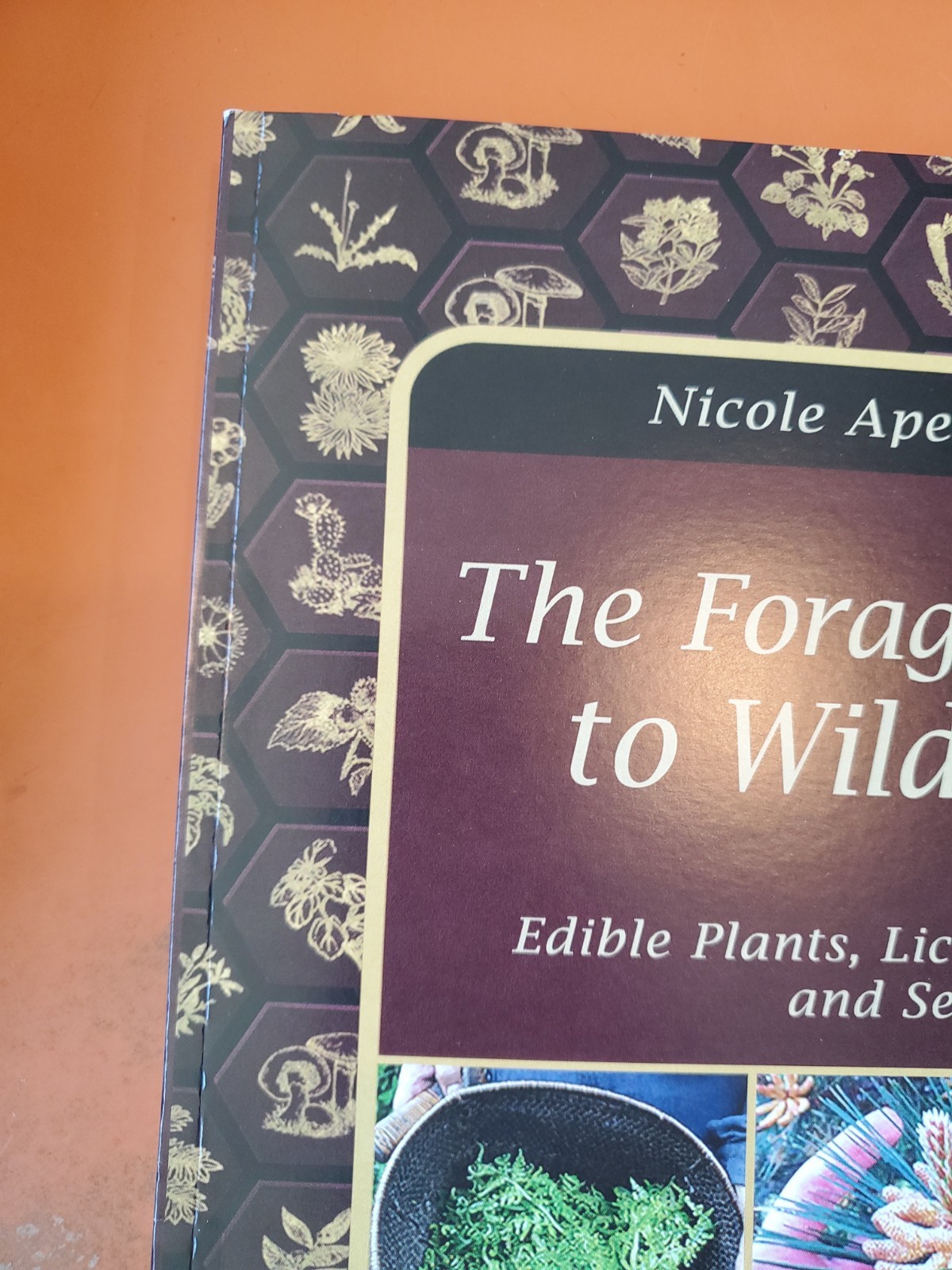The Forager’s Guide to Wild Foods (paperback with color pictures)