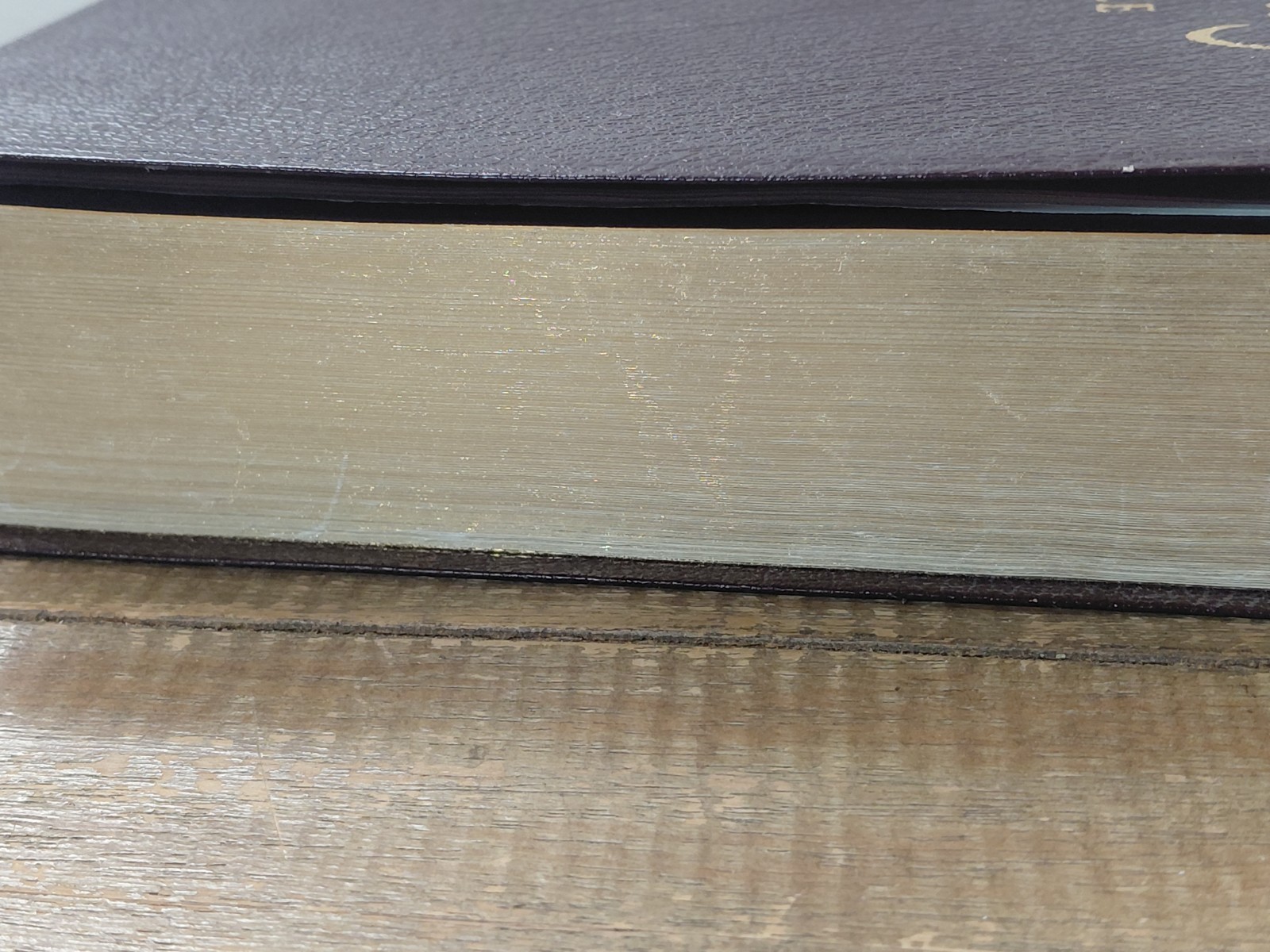Jack Van Impe Prophecy Bible Special Limited Edition Red Letter KJV