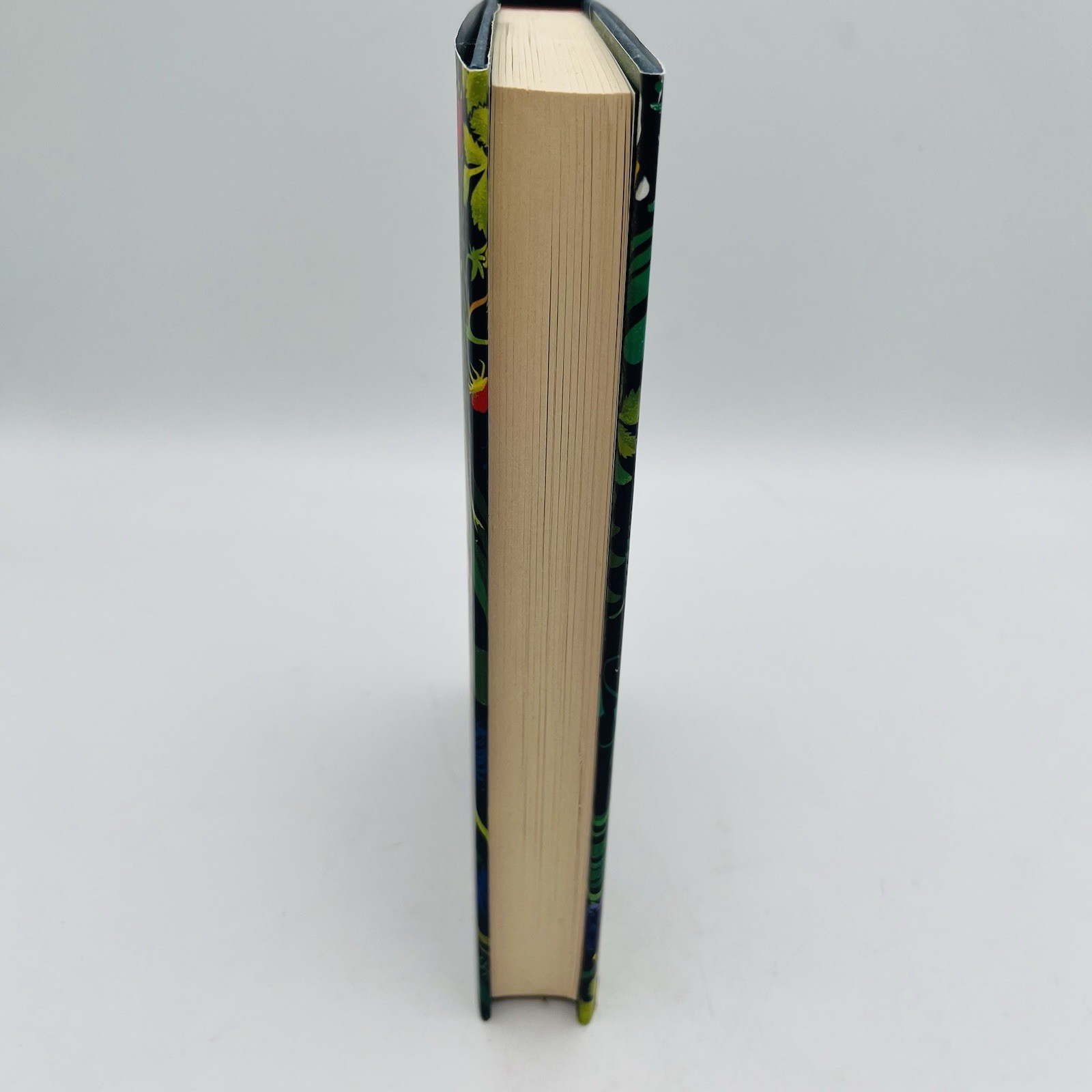 DARLING by INDIA KNIGHT – Fig Tree Publishing – 2022 First Edition HC DJ