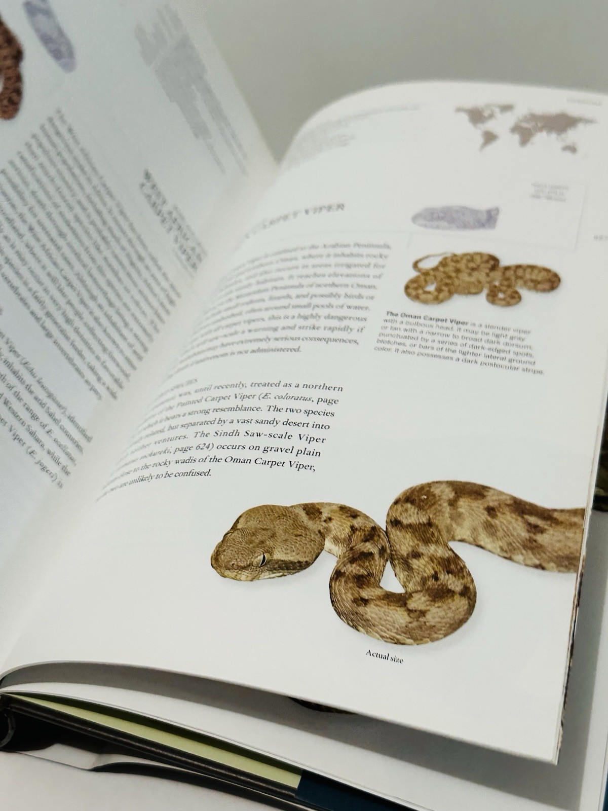 Book of Snakes: A Life-Size Guide to Six Hundred Species From Around the World