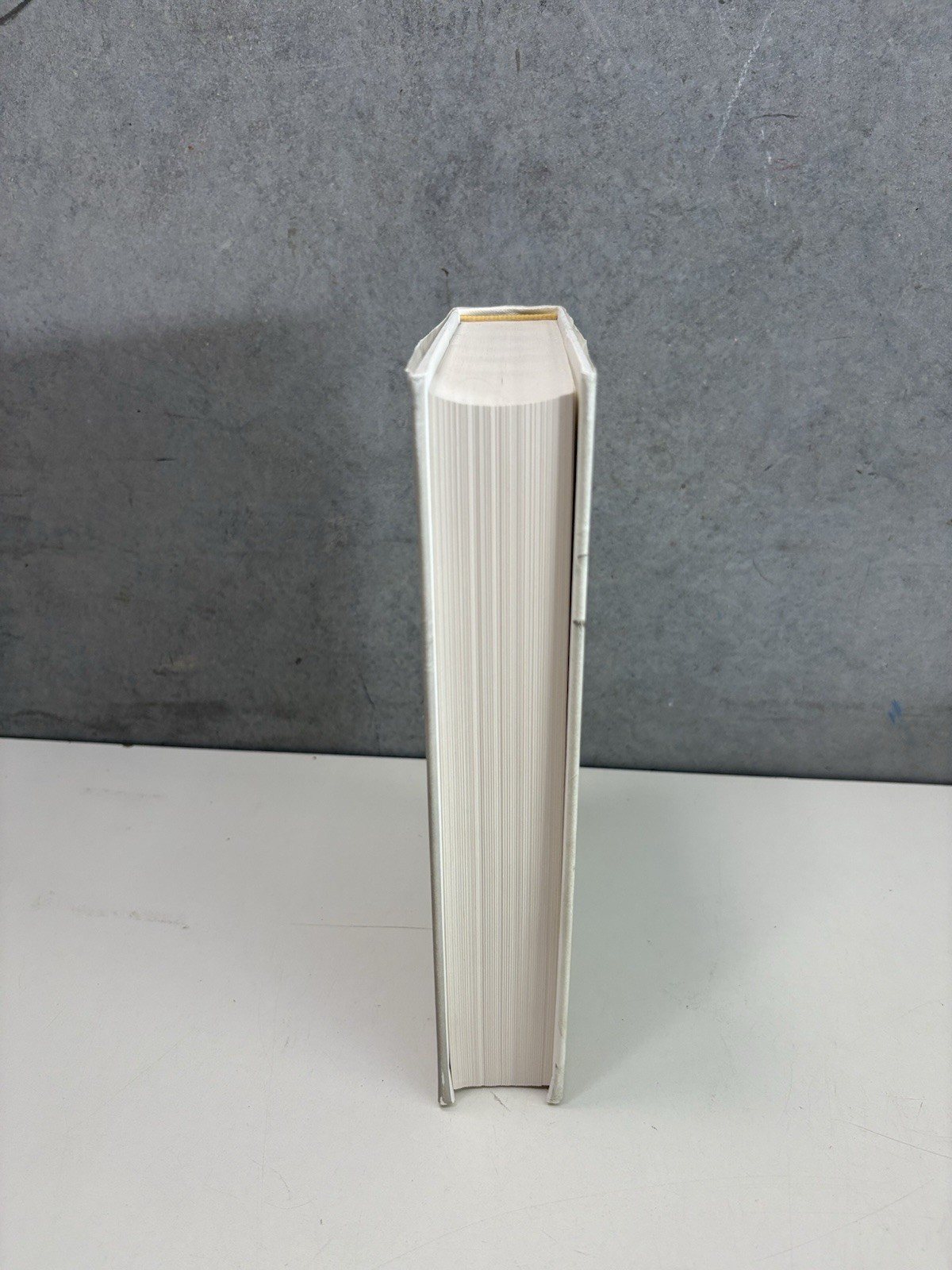 The Goldfinch Donna Tartt First Edition First Printing 2013 Hardcover DJ 1st/1st