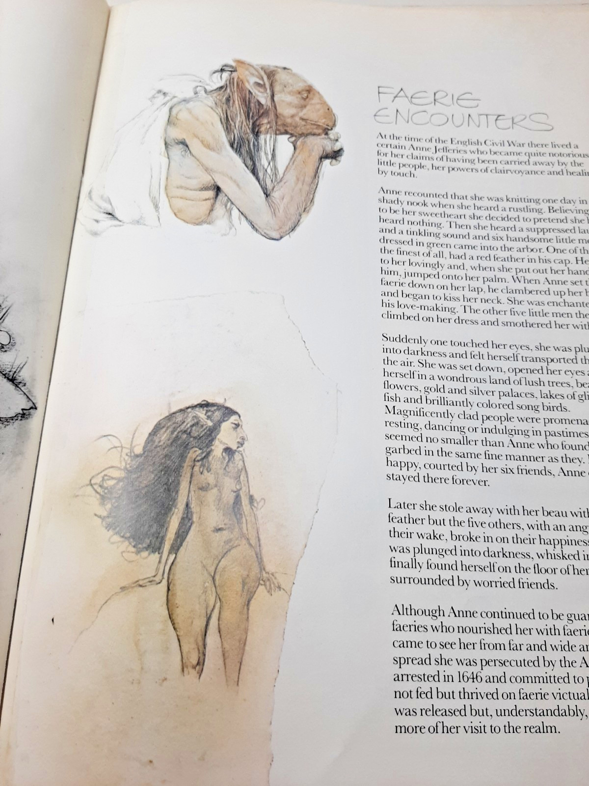 Vintage Faeries Book 1978 First Edition Printing Brian Froud Mythical Fairy Art