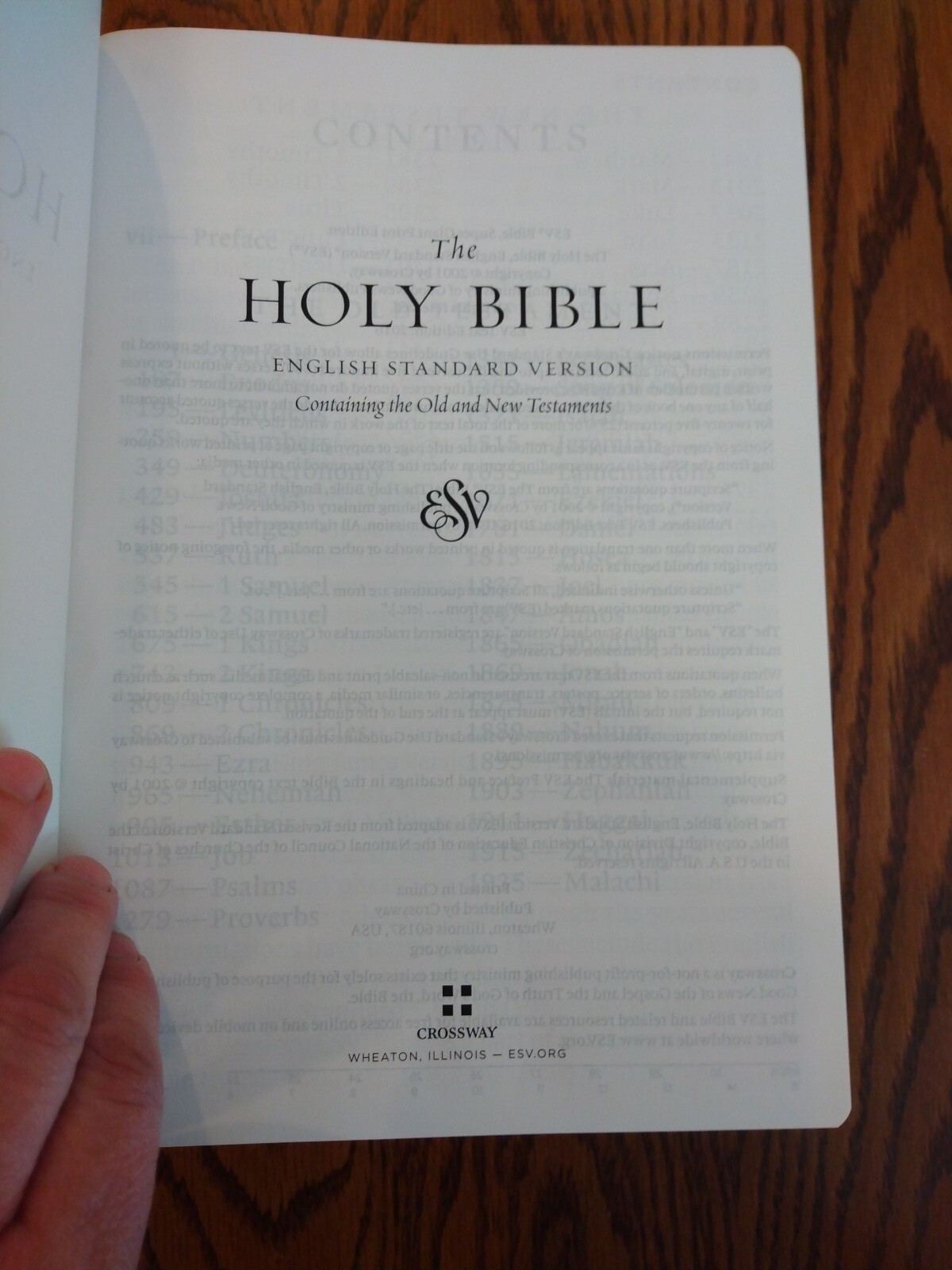 ESV SUPER GIANT Print Bible Black genuine leather ©2001~ 17 point font