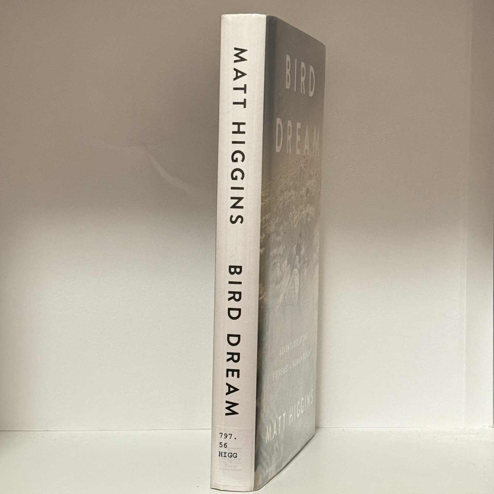 Bird Dream: Adventures at the Extremes of Human Flight By Matt Higgins Hardcover