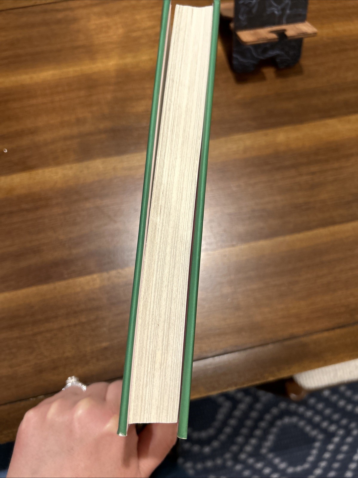 Ambition Monster – A Memoir by Jennifer Romolini (ARC~6/4/2024, Like New, TPB)