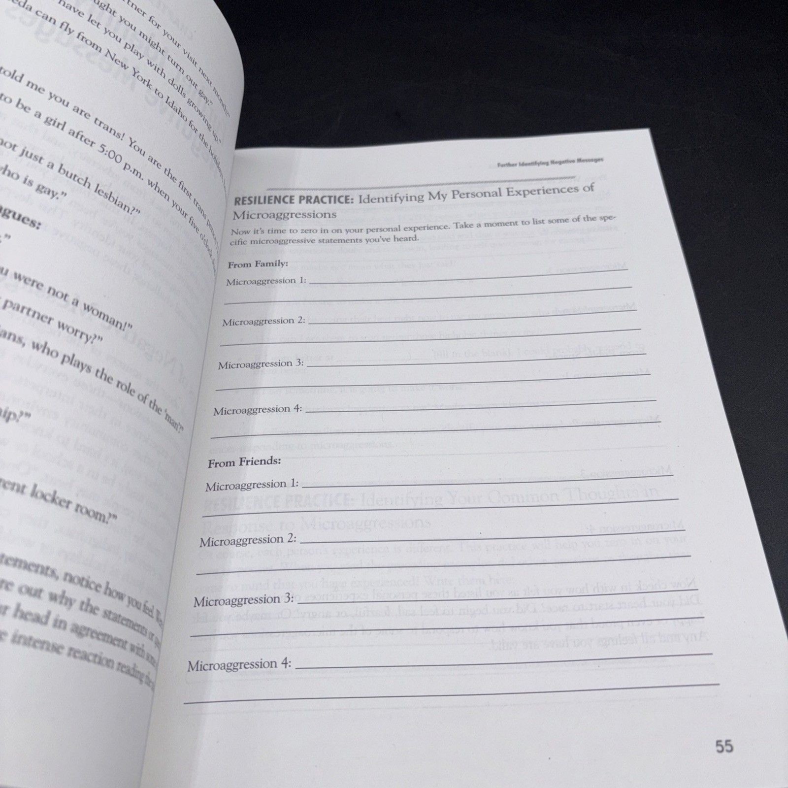 The Queer and Transgender Resilience Workbook : Skills for Navigating Gender