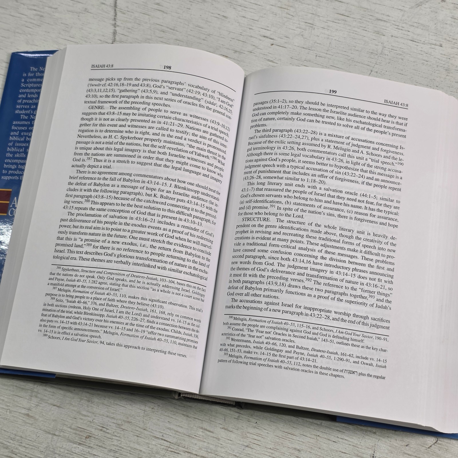 Isaiah 40-66: An Exegetical and Theological Exposition New American Commentary