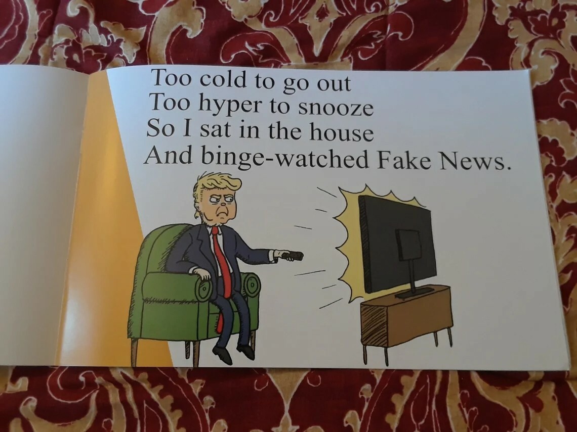 Donald Trump Childrens Book S-Holes in S-Ville. Also sell Winners Aren’t losers 