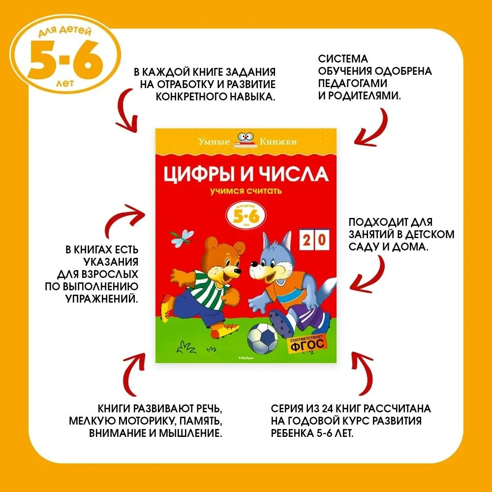 Грамотейка. Интеллектуальное развитие детей 5-6 лет Земцова