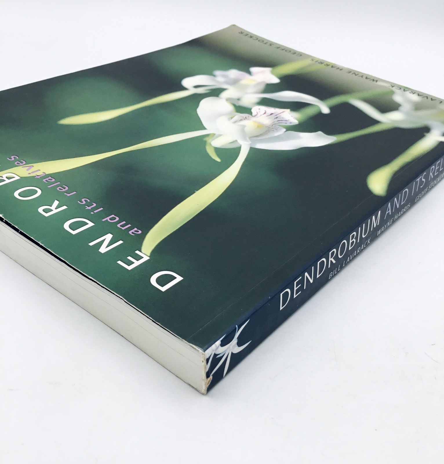 OOP💥 Dendrobium and Its Relatives Orchid Book; Lavarack Harris Stocker TPB