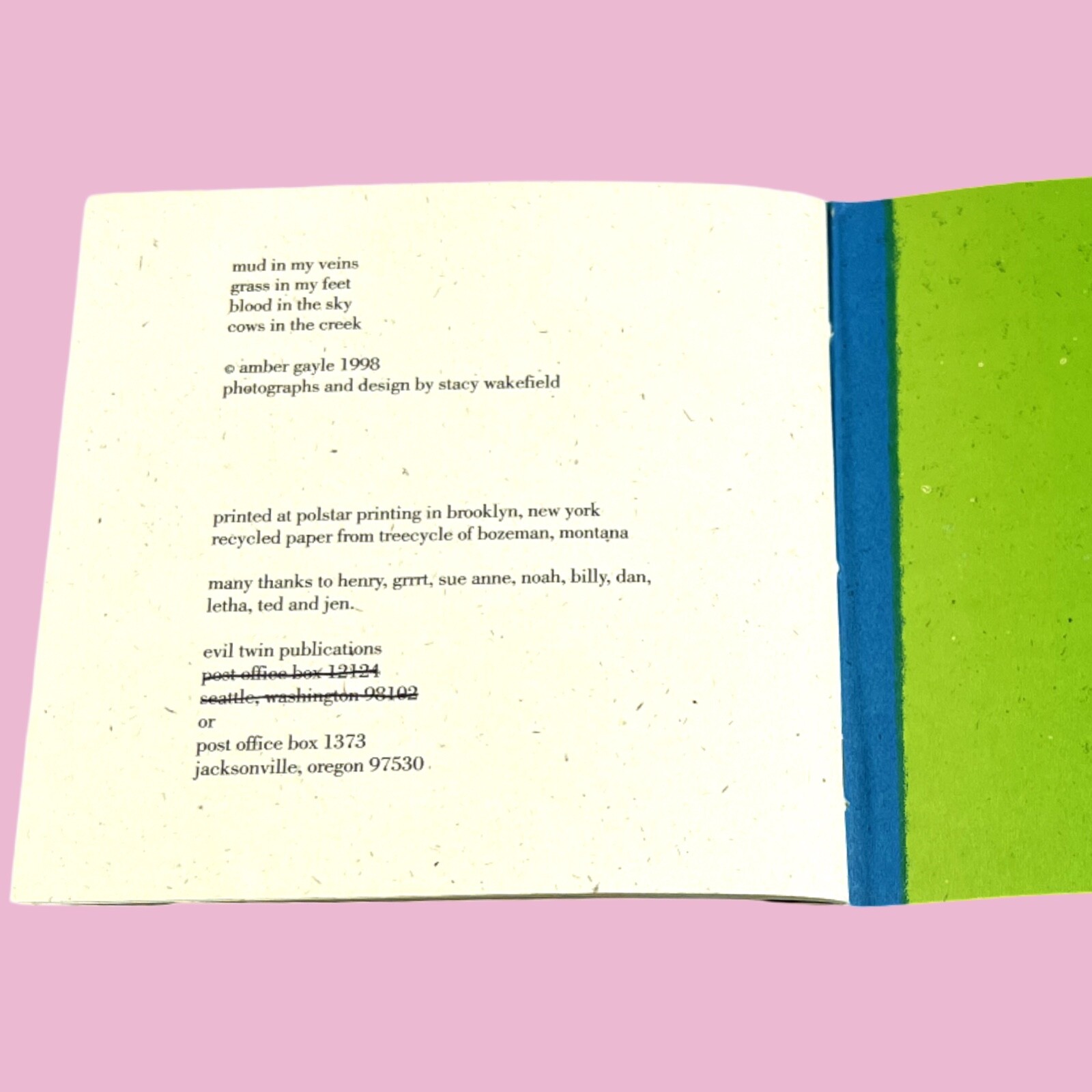 Amber Gayle- Mud In My Veins (1998) Evil Twin Publications Rare Zine See Photos