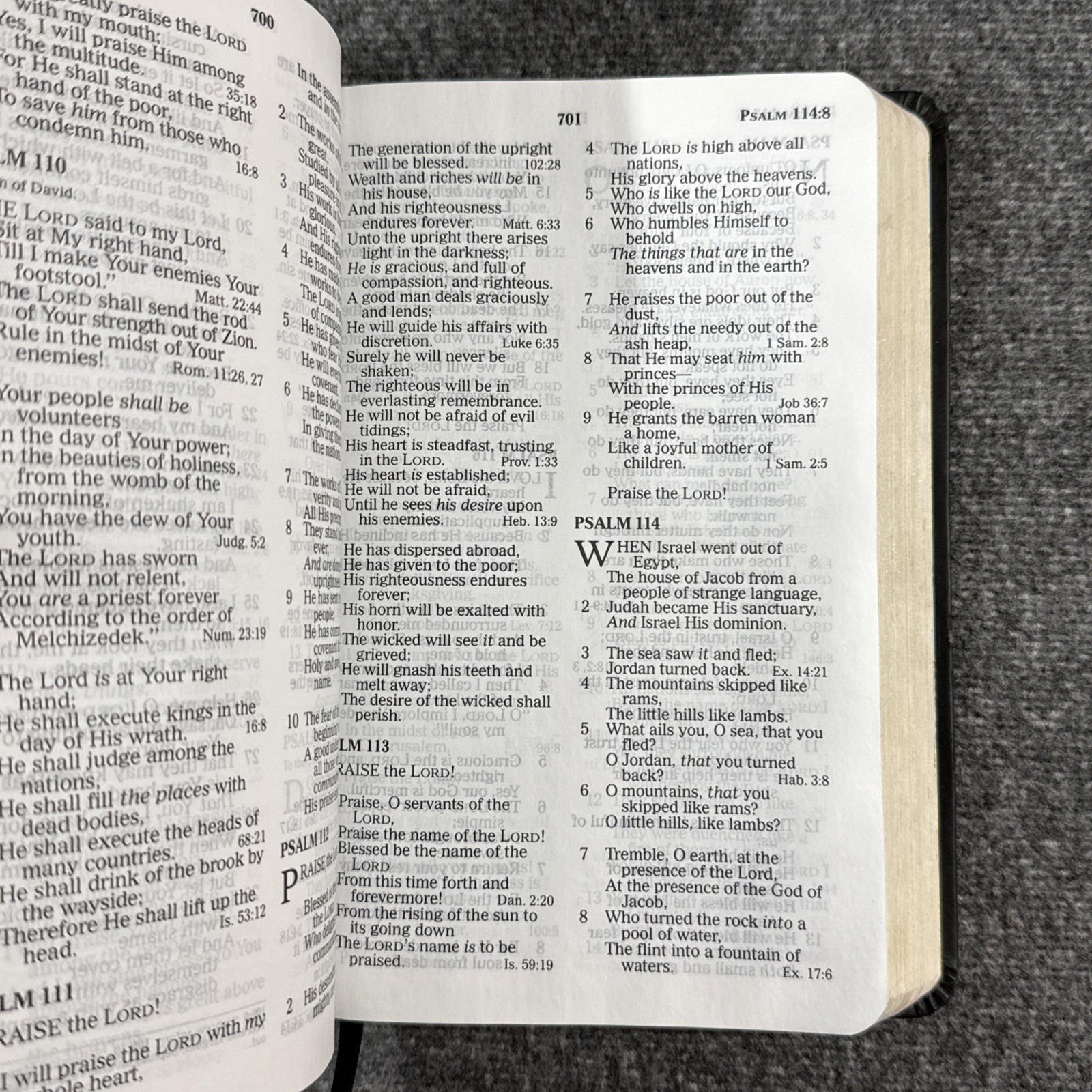 Amazing Facts Prophecy Study Bible NKJV Leathersoft Black Thomas Nelson 2008