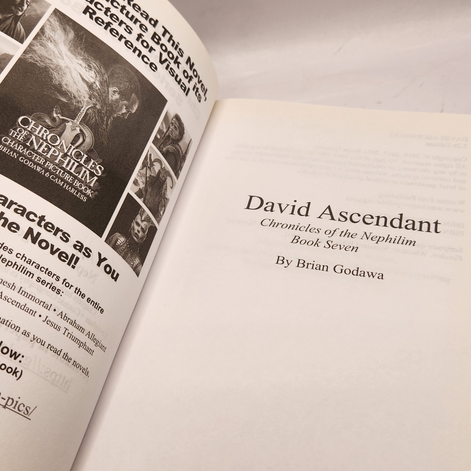 David Ascendant Chronicles of the Nephilim Book Seven Godawa, Brian