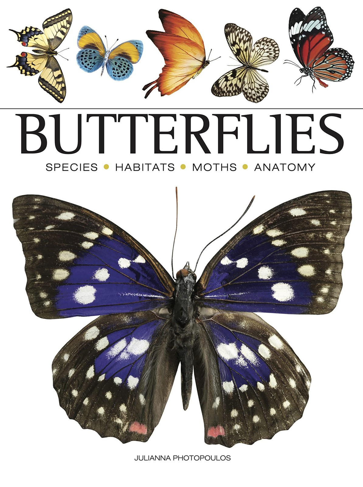Butterflies (Mini Encyclopedias)