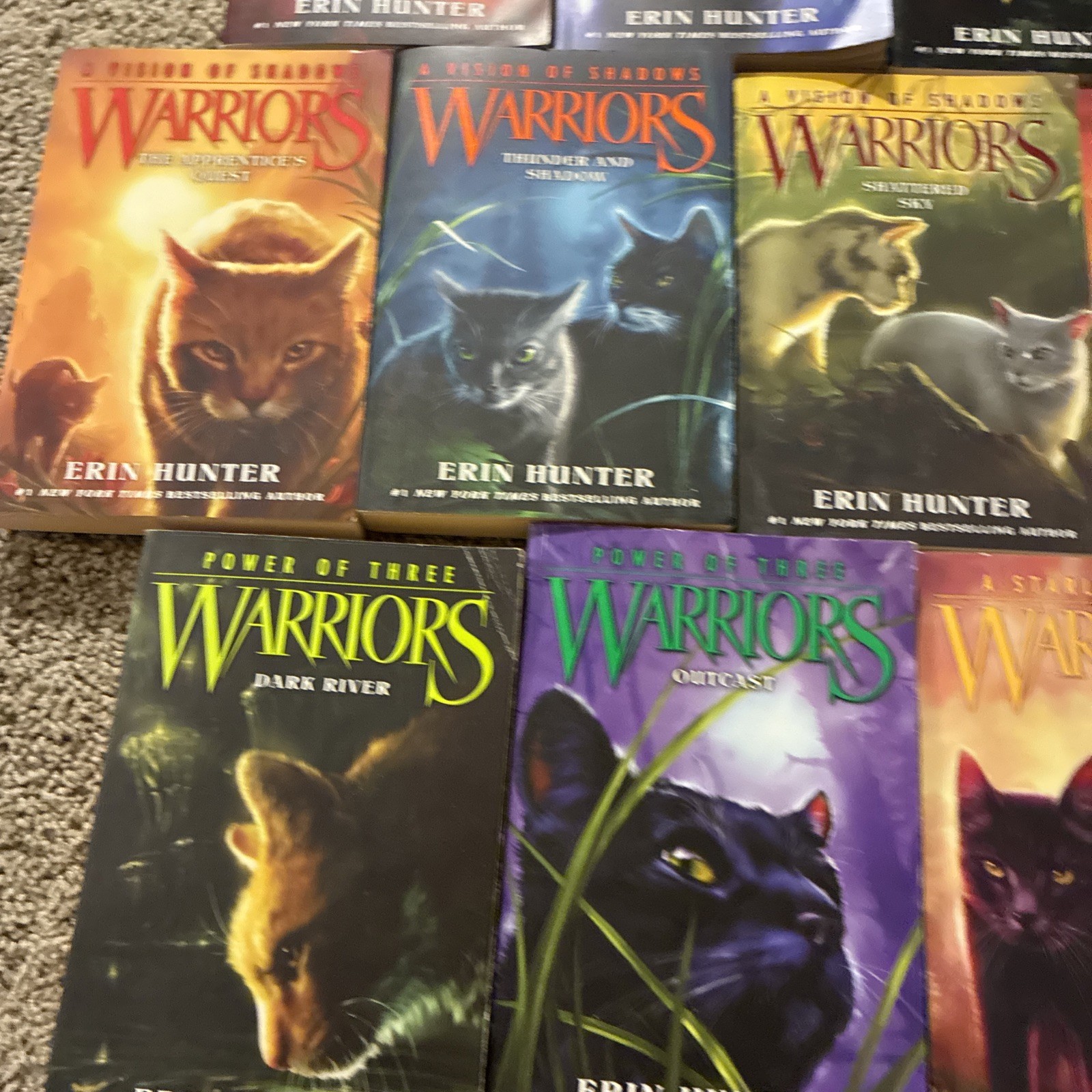 Lot of 21 Different WARRIORS Books by Erin Hunter ALL PAPERBACKS