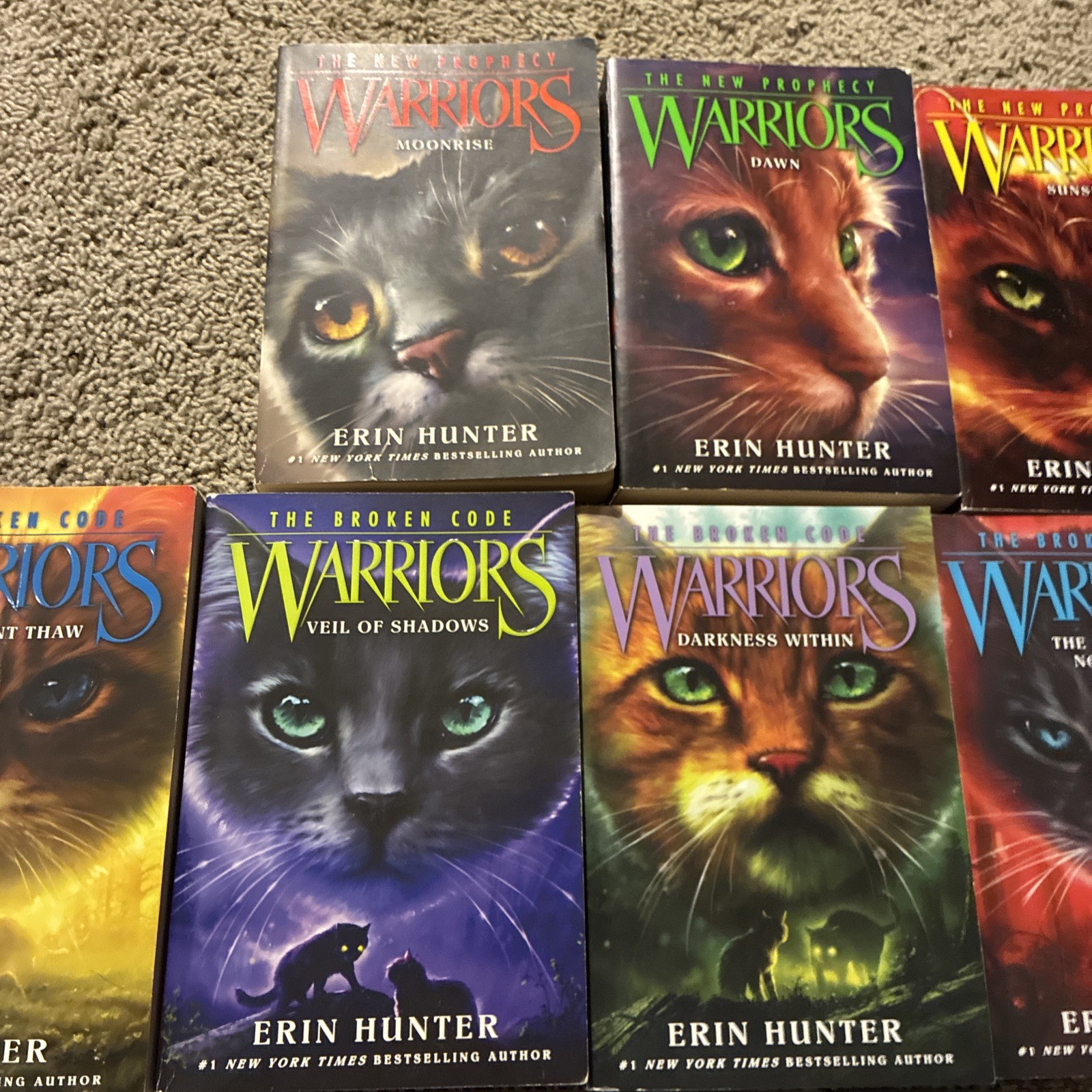 Lot of 21 Different WARRIORS Books by Erin Hunter ALL PAPERBACKS
